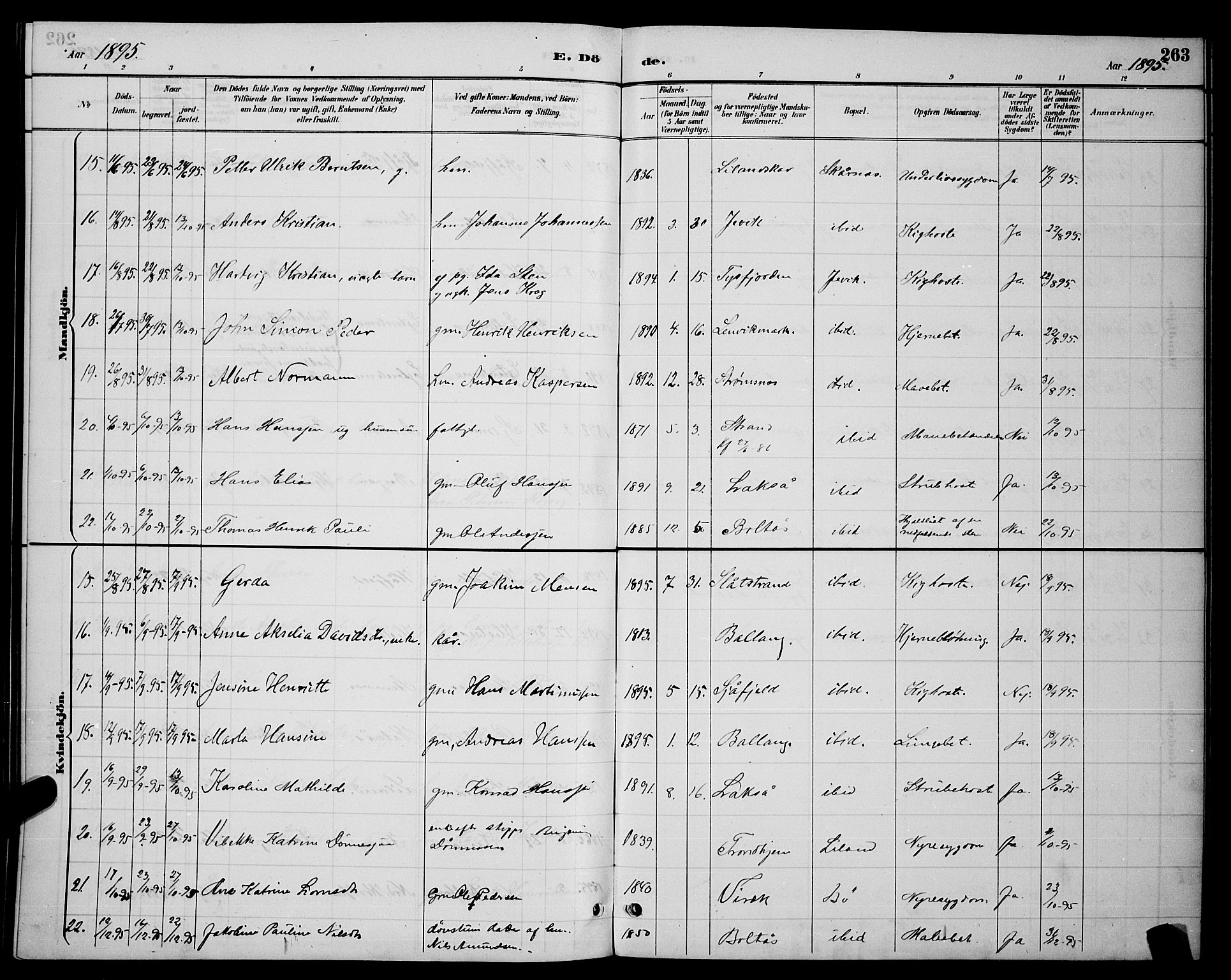 Ministerialprotokoller, klokkerbøker og fødselsregistre - Nordland, AV/SAT-A-1459/863/L0914: Parish register (copy) no. 863C04, 1886-1897, p. 263