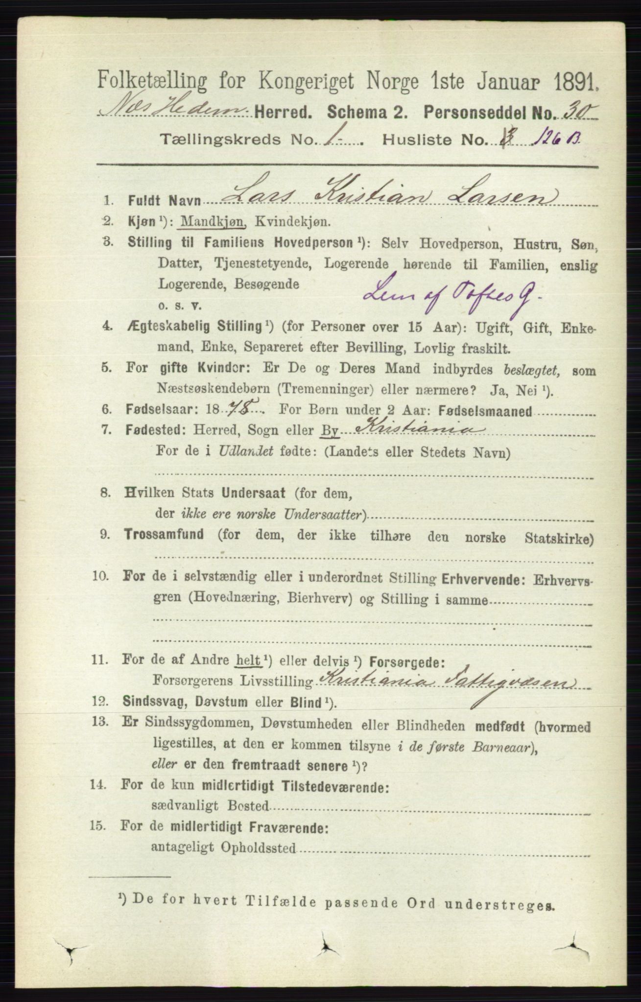 RA, 1891 census for 0411 Nes, 1891, p. 937
