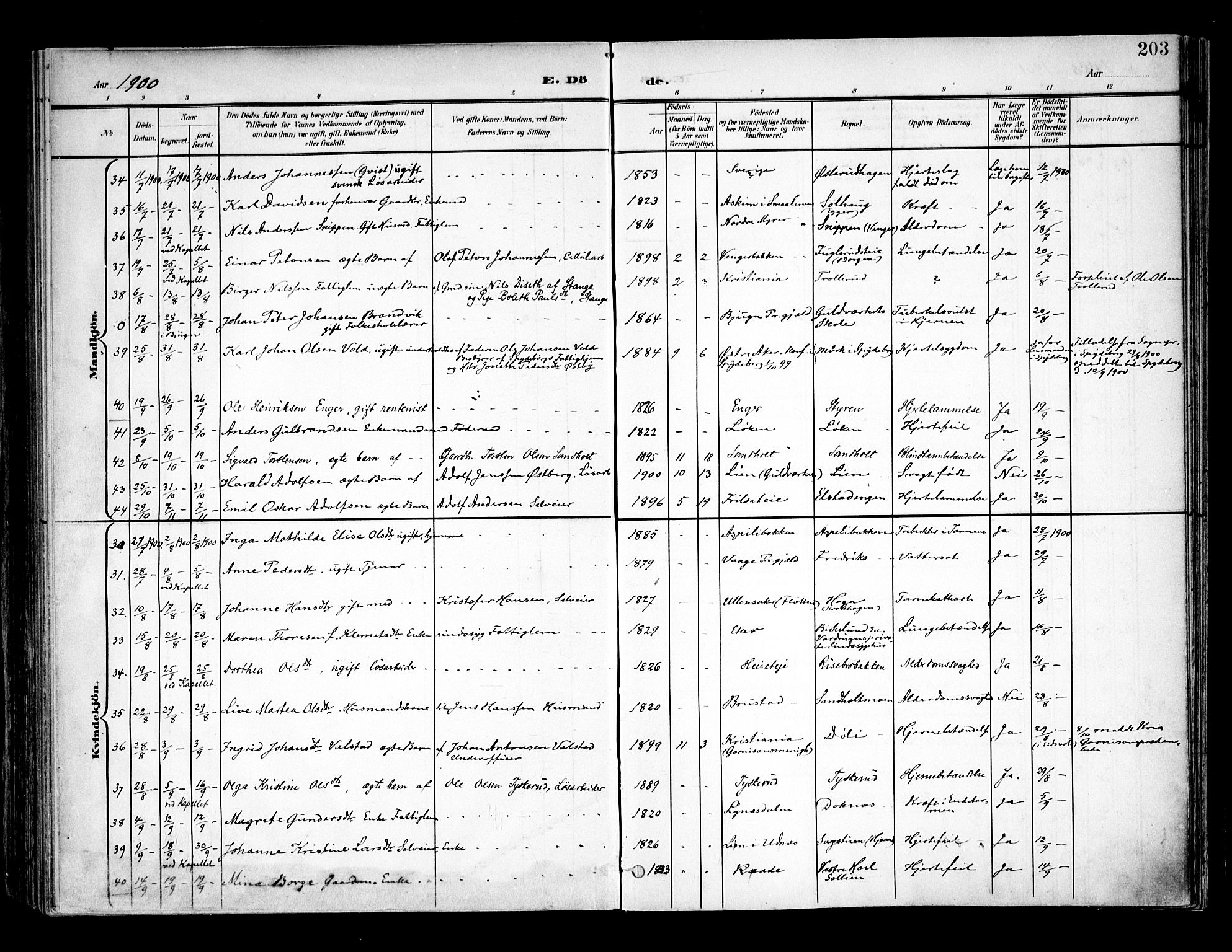 Eidsvoll prestekontor Kirkebøker, SAO/A-10888/F/Fa/L0006: Parish register (official) no. I 6, 1900-1907, p. 203