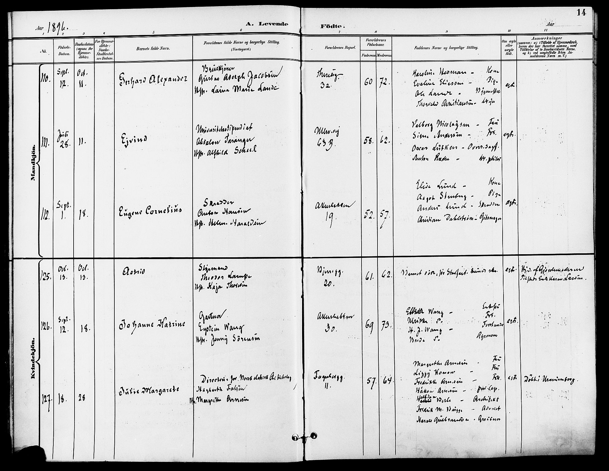 Gamle Aker prestekontor Kirkebøker, AV/SAO-A-10617a/F/L0011: Parish register (official) no. 11, 1896-1901, p. 14