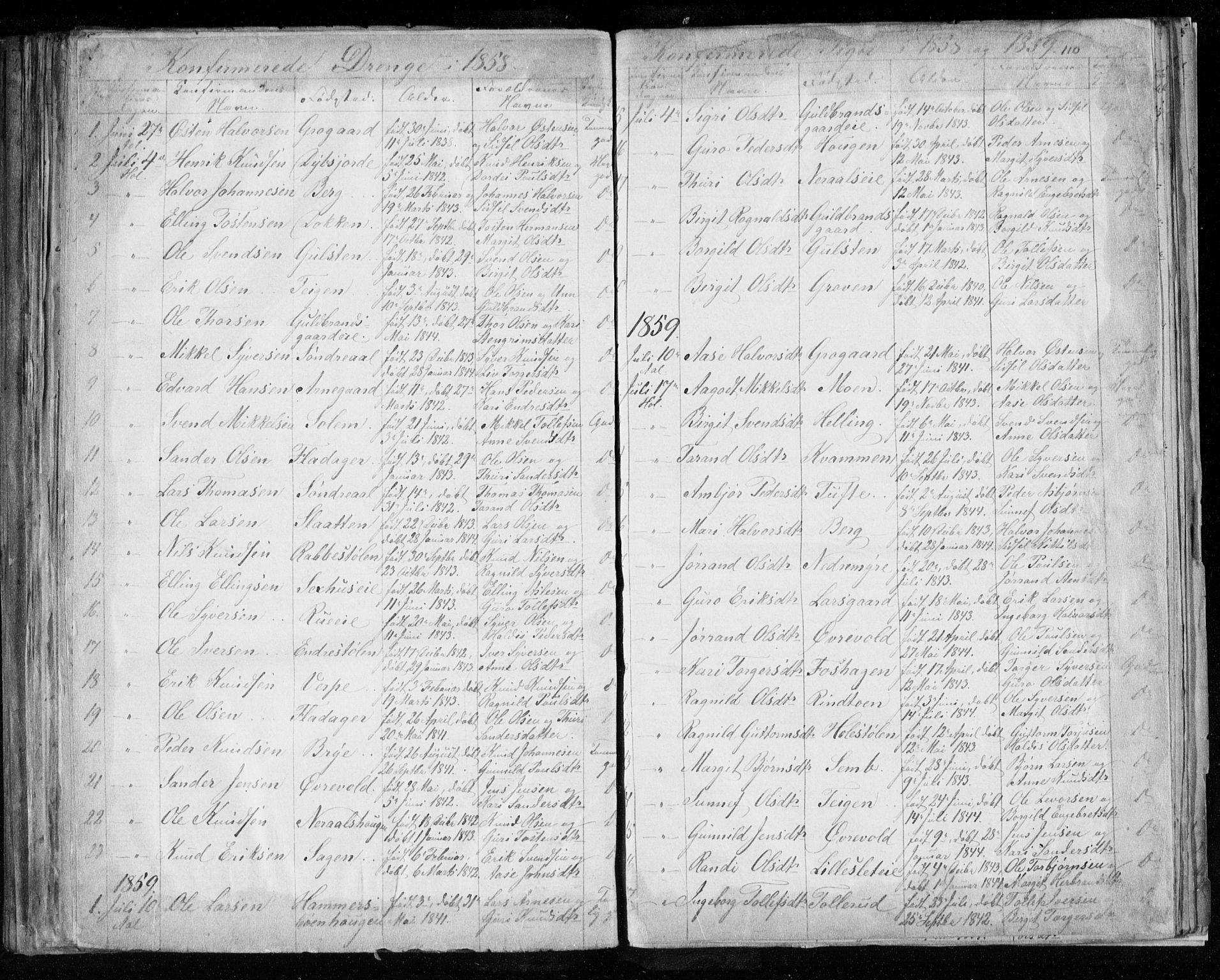 Hol kirkebøker, AV/SAKO-A-227/F/Fa/L0001: Parish register (official) no. I 1, 1850-1870, p. 109-110