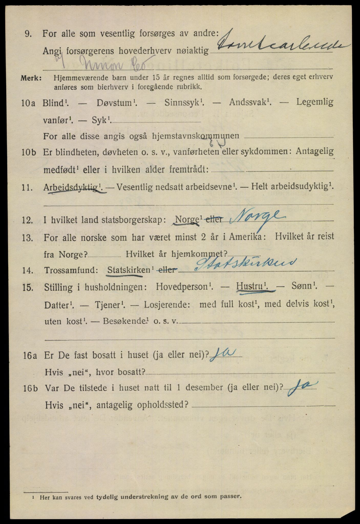 SAKO, 1920 census for Skien, 1920, p. 17297