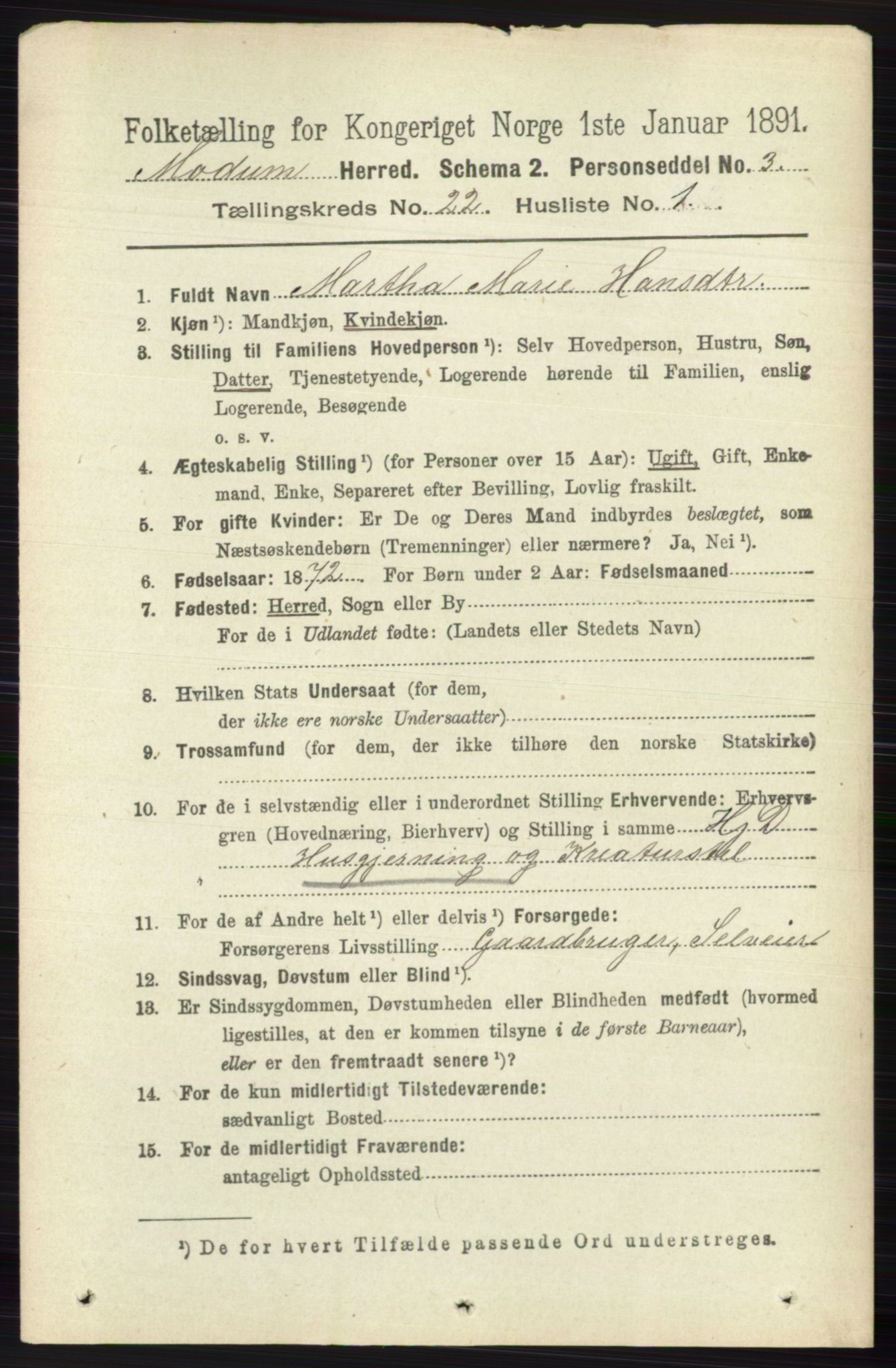 RA, 1891 census for 0623 Modum, 1891, p. 8391