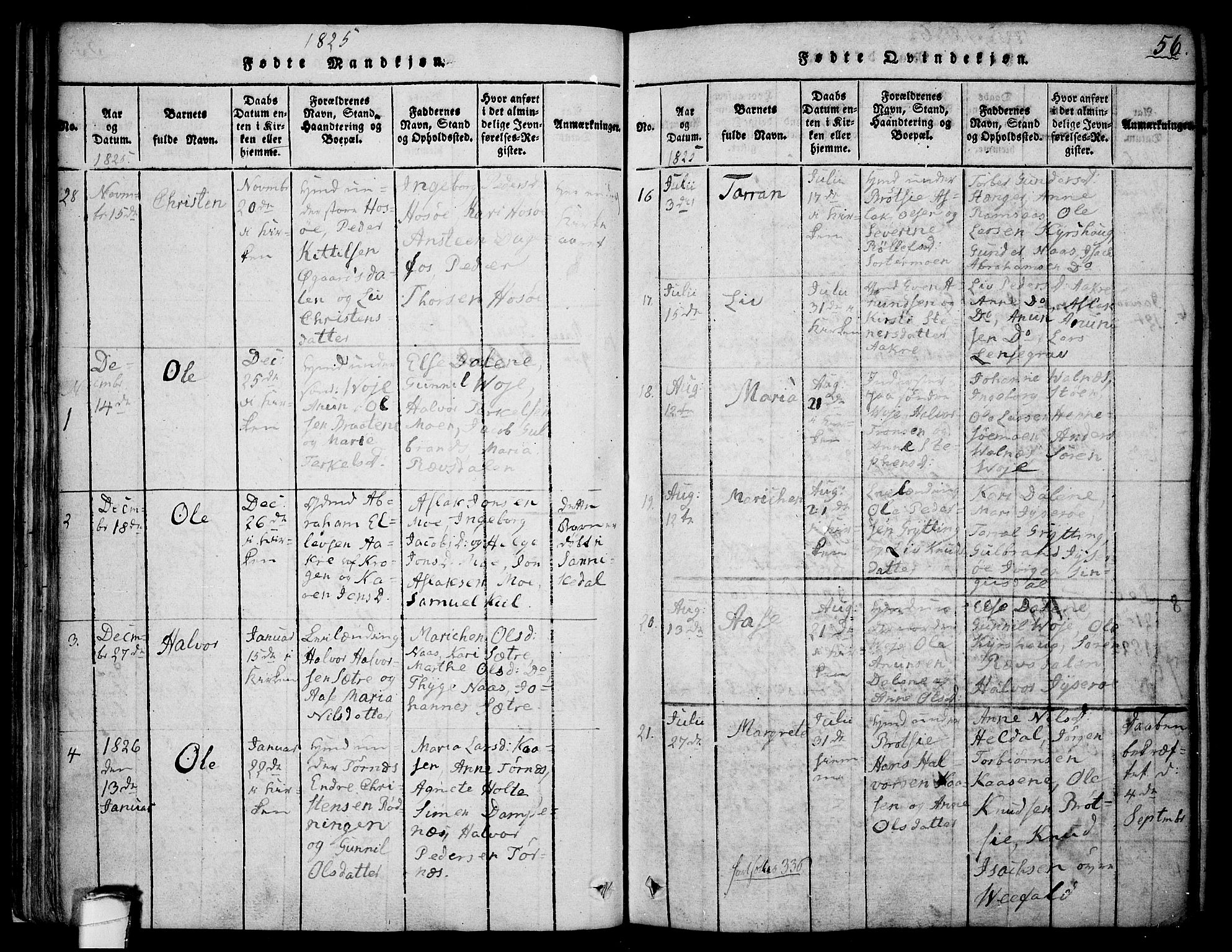 Drangedal kirkebøker, SAKO/A-258/F/Fa/L0005: Parish register (official) no. 5 /1, 1814-1831, p. 56