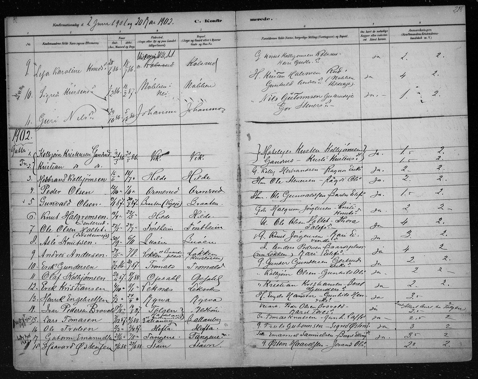 Nes kirkebøker, AV/SAKO-A-236/F/Fa/L0012: Parish register (official) no. 12, 1881-1917, p. 214