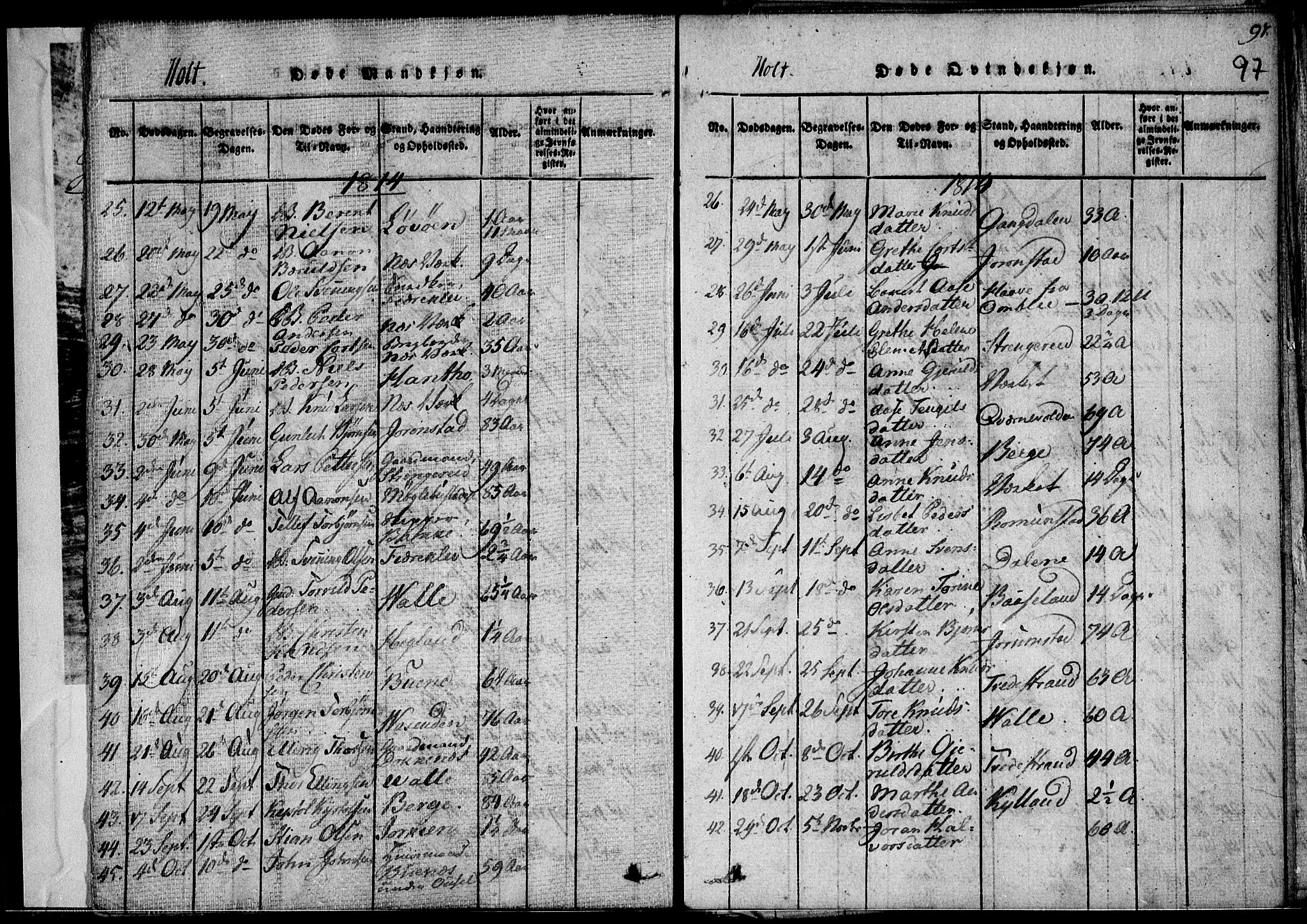 Holt sokneprestkontor, AV/SAK-1111-0021/F/Fa/L0005: Parish register (official) no. A 5, 1813-1821, p. 97