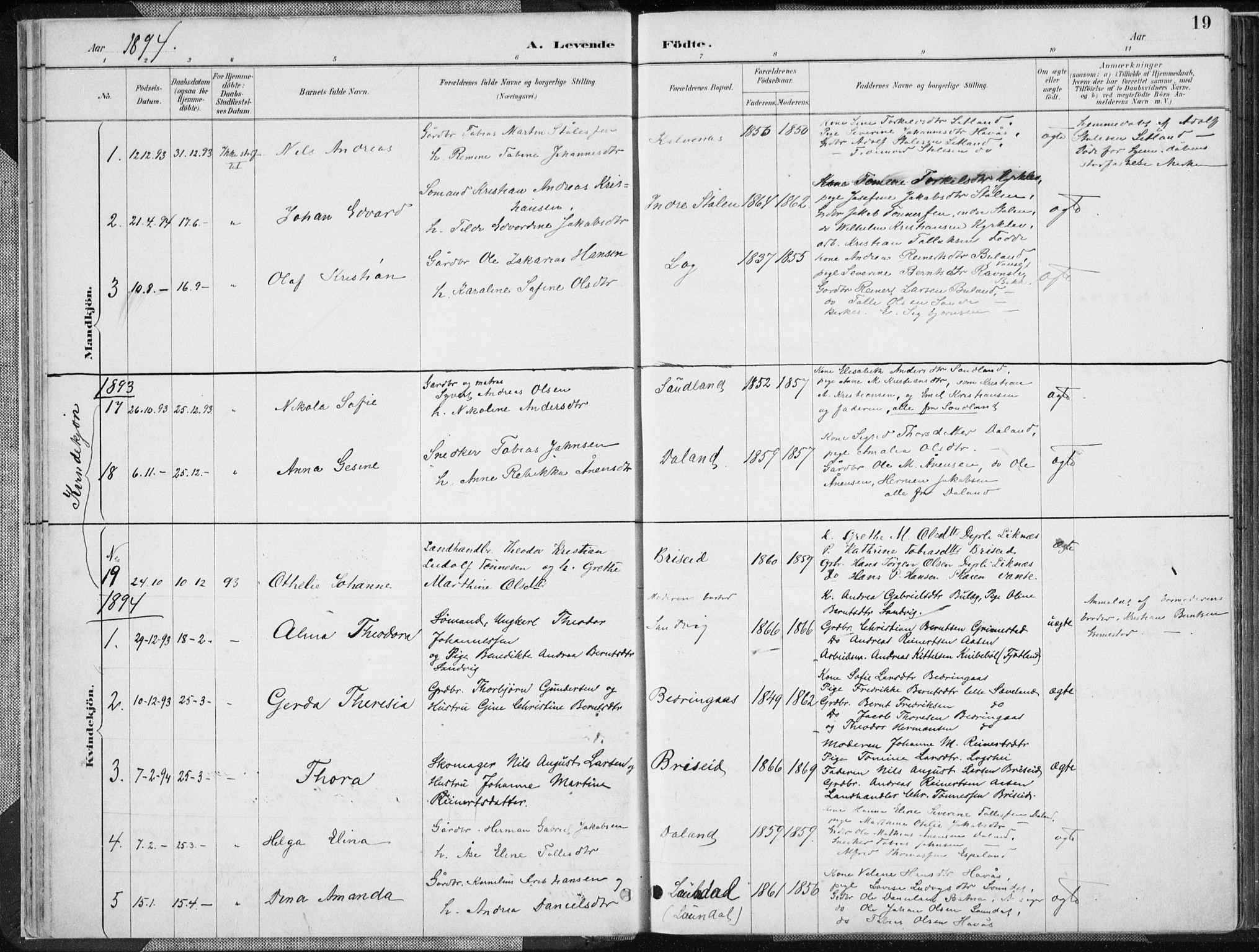 Herad sokneprestkontor, SAK/1111-0018/F/Fa/Faa/L0006: Parish register (official) no. A 6, 1887-1907, p. 19