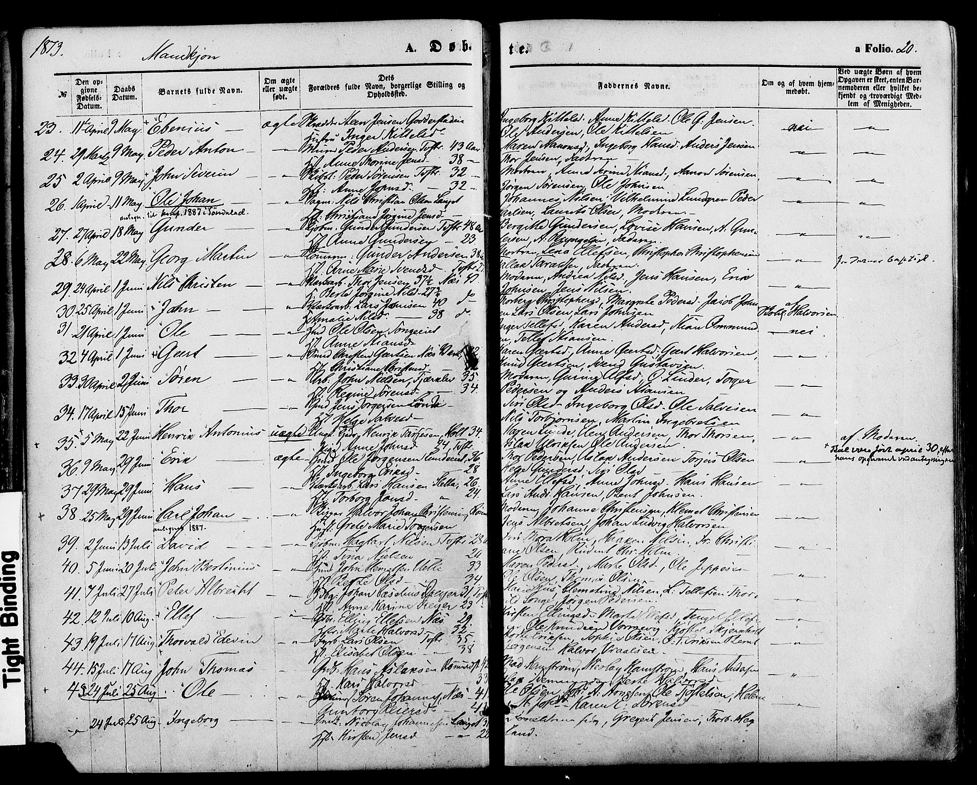 Holt sokneprestkontor, AV/SAK-1111-0021/F/Fa/L0010: Parish register (official) no. A 10, 1872-1885, p. 20