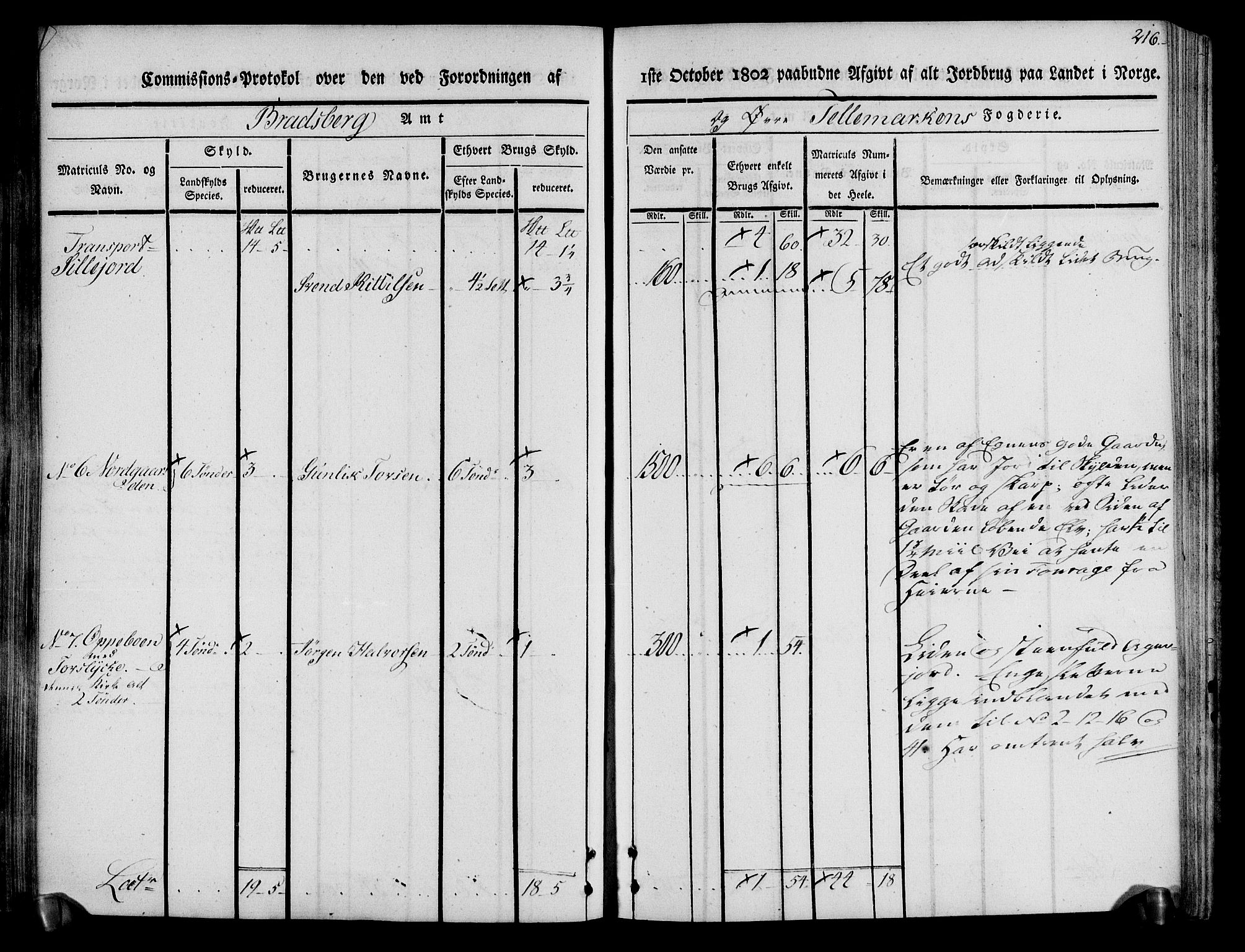 Rentekammeret inntil 1814, Realistisk ordnet avdeling, AV/RA-EA-4070/N/Ne/Nea/L0074: Øvre Telemarken fogderi. Kommisjonsprotokoll for fogderiets østre del - Tinn, Hjartdal og Seljord prestegjeld., 1803, p. 216