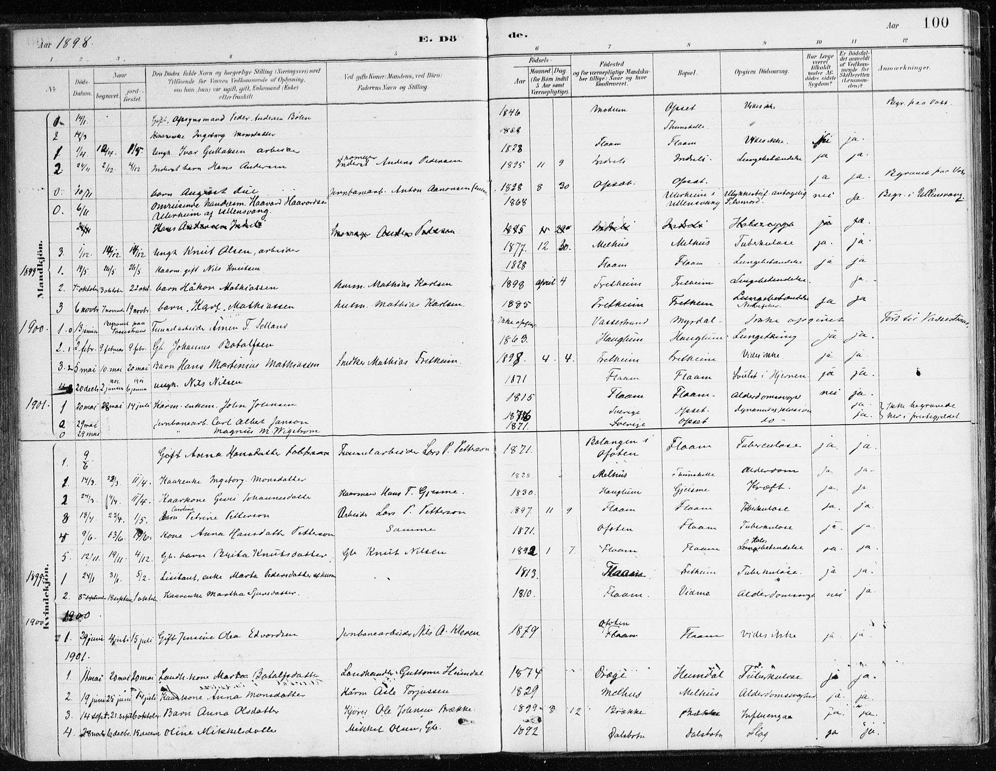 Aurland sokneprestembete, SAB/A-99937/H/Ha/Hac/L0001: Parish register (official) no. C 1, 1880-1921, p. 100