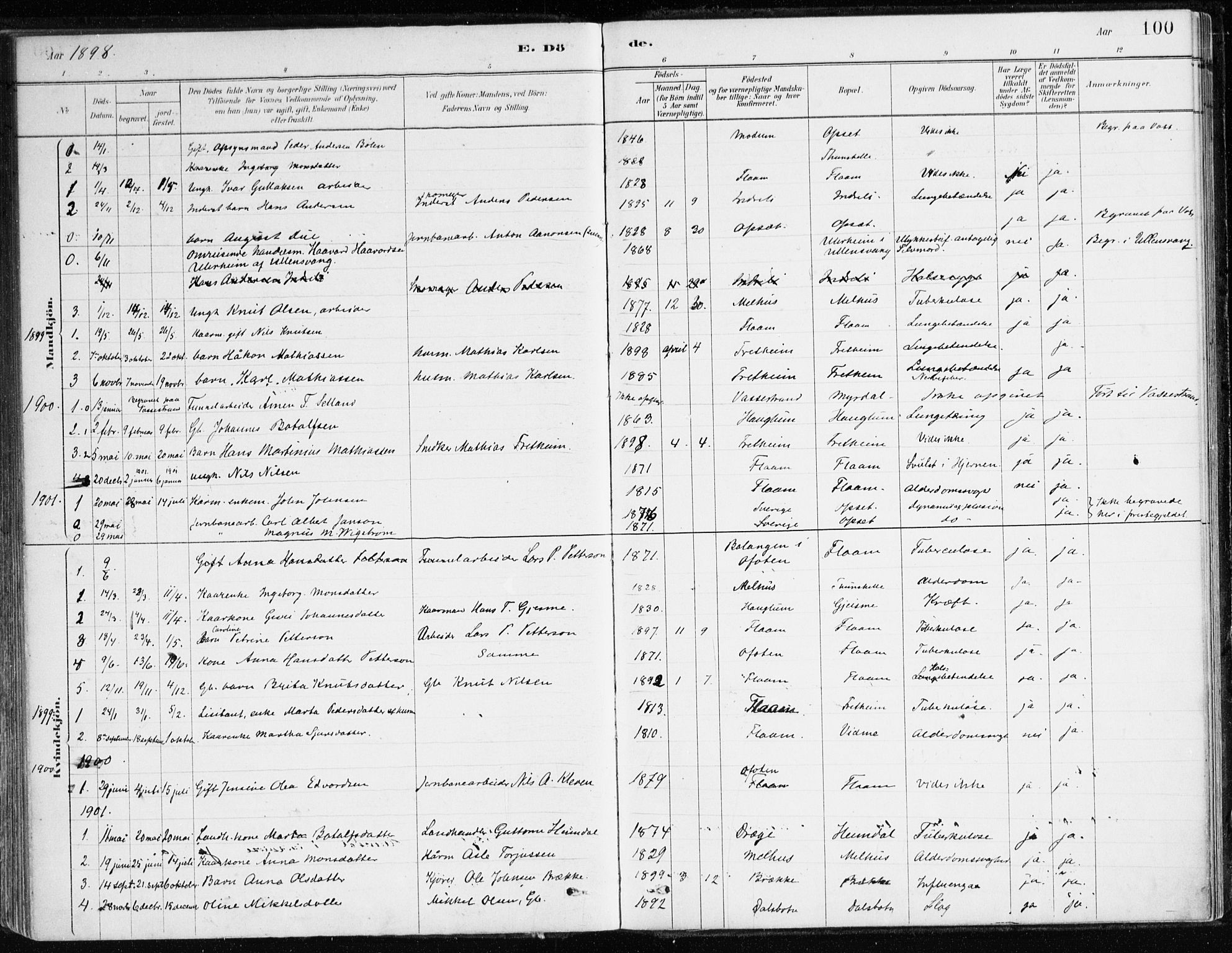 Aurland sokneprestembete, AV/SAB-A-99937/H/Ha/Hac/L0001: Parish register (official) no. C 1, 1880-1921, p. 100