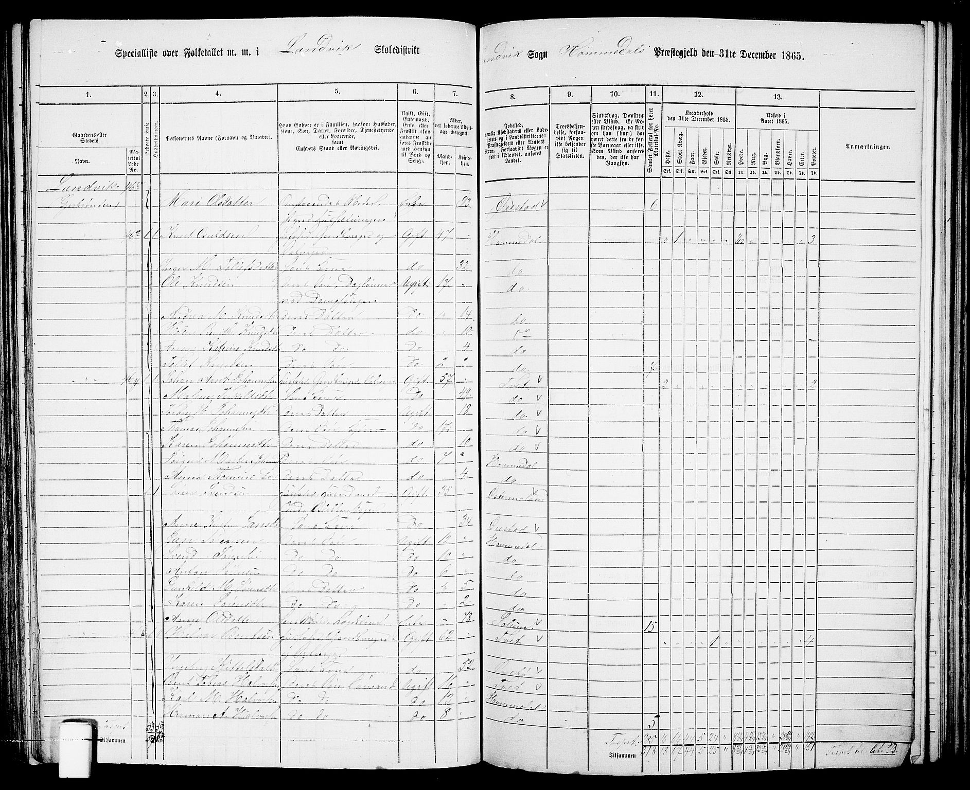 RA, 1865 census for Homedal, 1865, p. 85