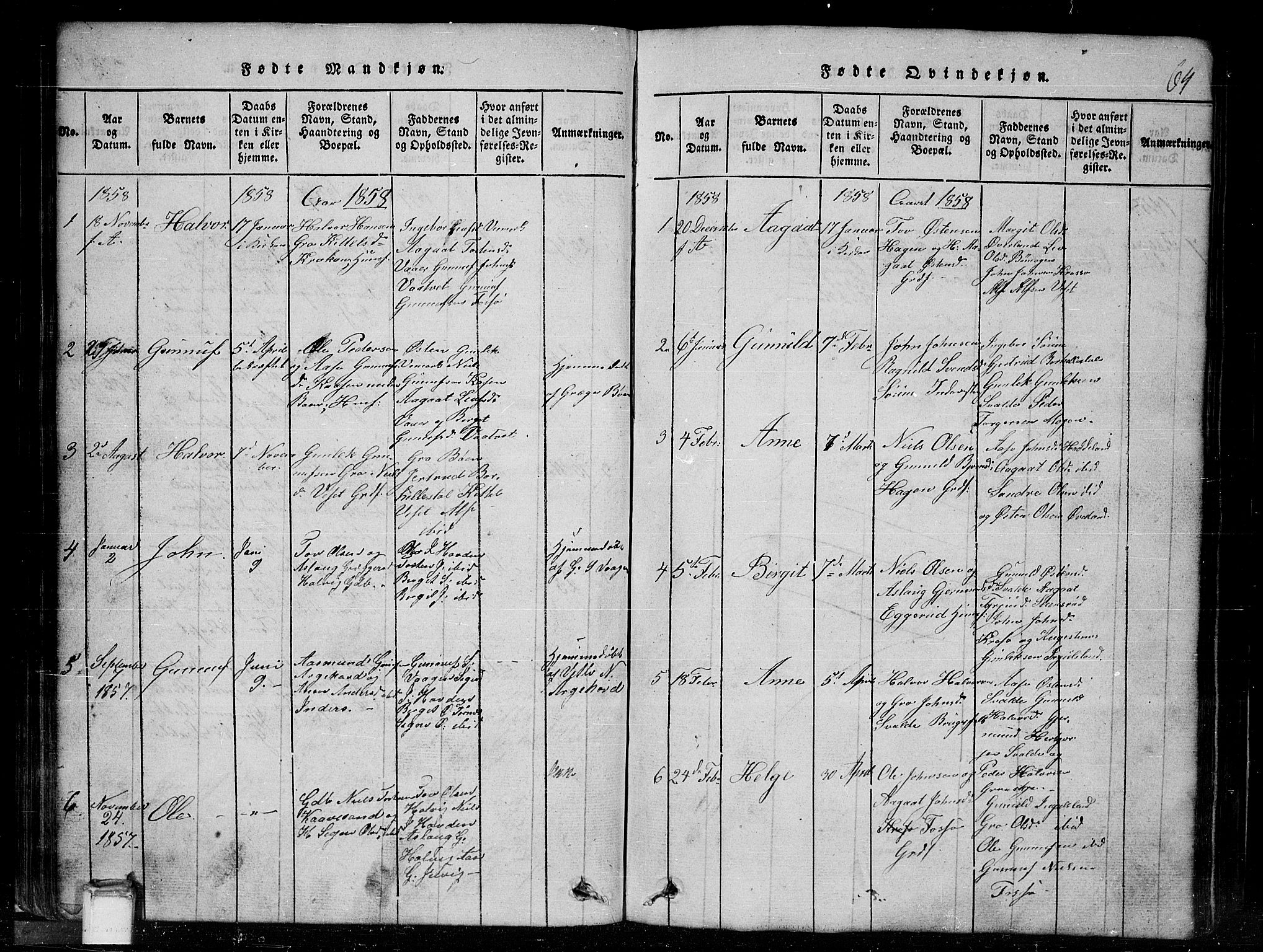 Tinn kirkebøker, SAKO/A-308/G/Gc/L0001: Parish register (copy) no. III 1, 1815-1879, p. 64