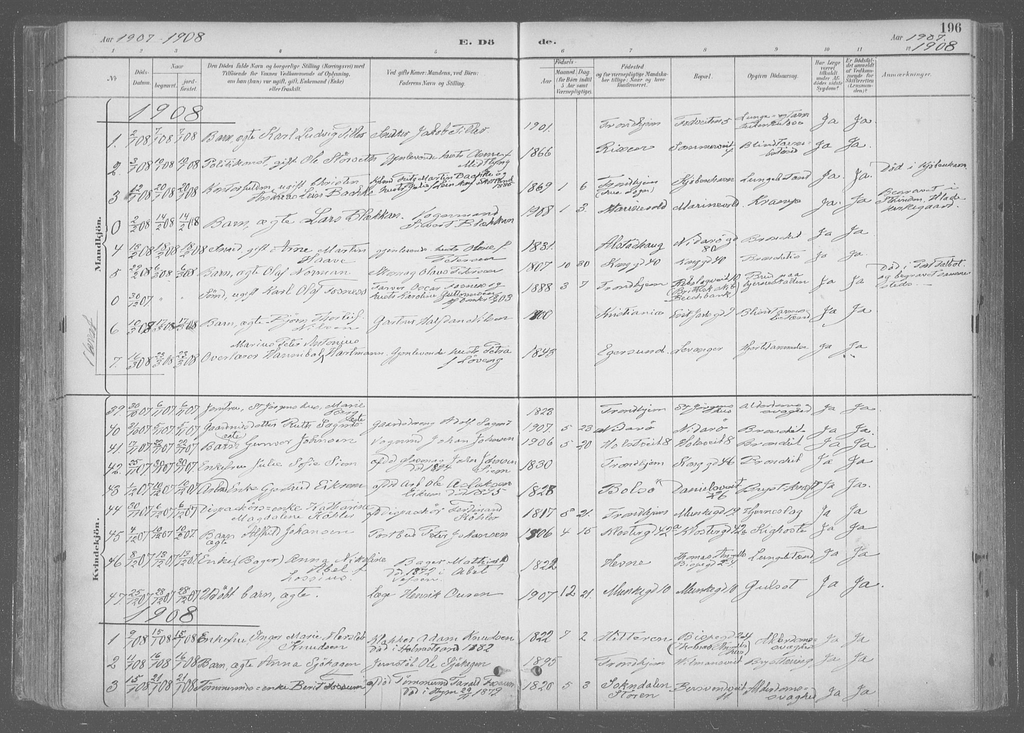 Ministerialprotokoller, klokkerbøker og fødselsregistre - Sør-Trøndelag, SAT/A-1456/601/L0064: Parish register (official) no. 601A31, 1891-1911, p. 196