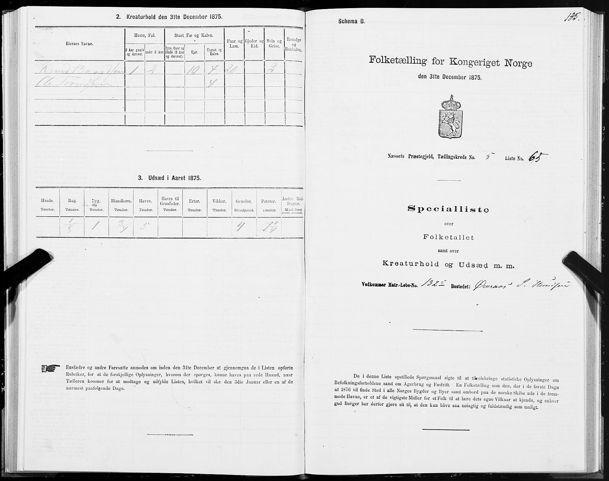 SAT, 1875 census for 1543P Nesset, 1875, p. 3135