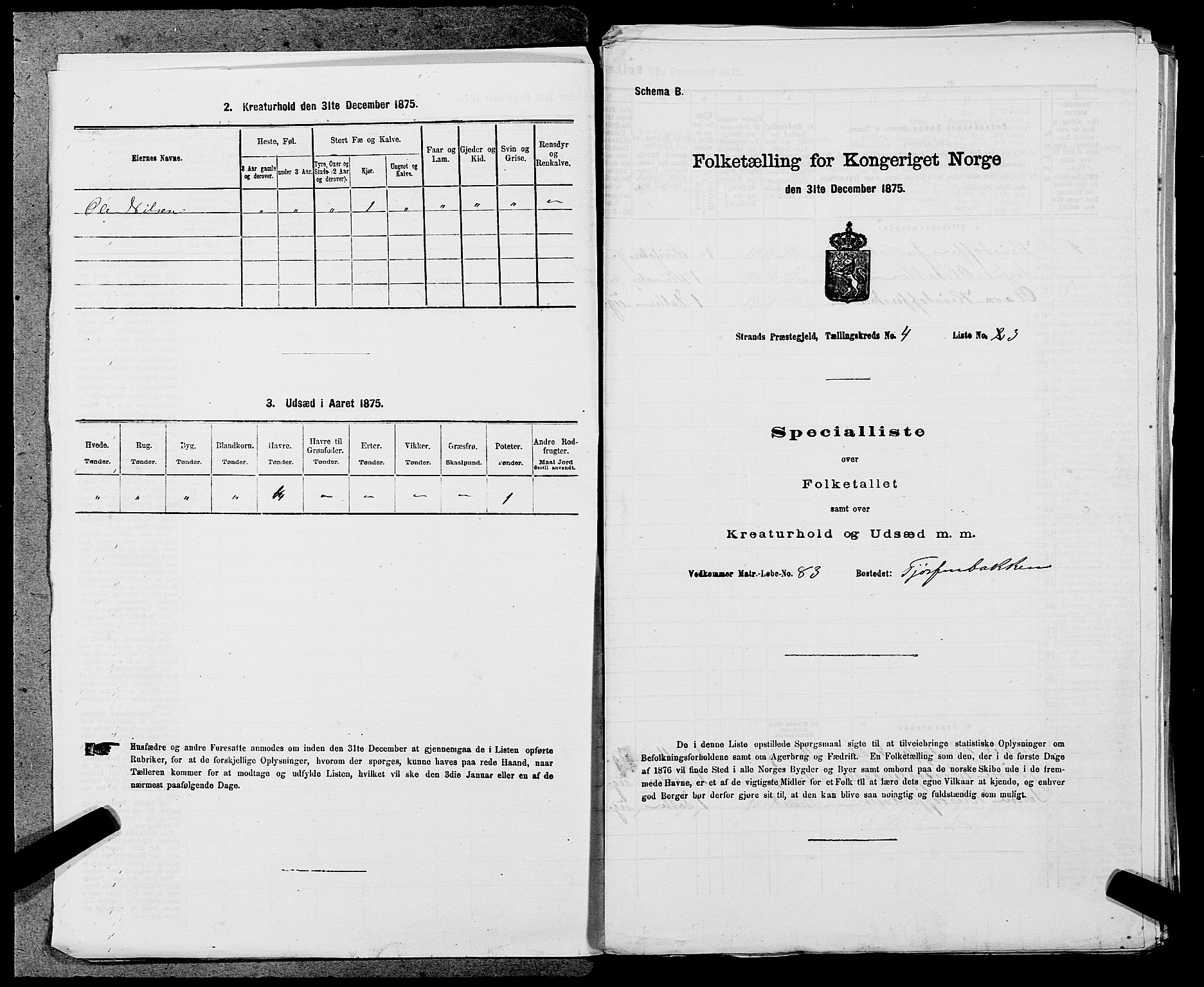 SAST, 1875 census for 1130P Strand, 1875, p. 342