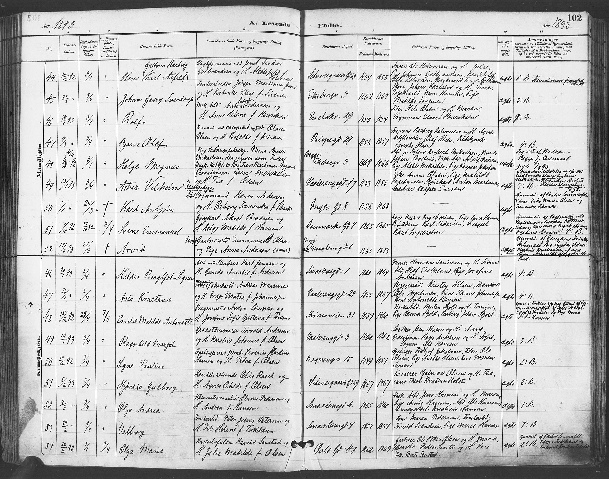 Gamlebyen prestekontor Kirkebøker, SAO/A-10884/F/Fa/L0007: Parish register (official) no. 7, 1889-1899, p. 102