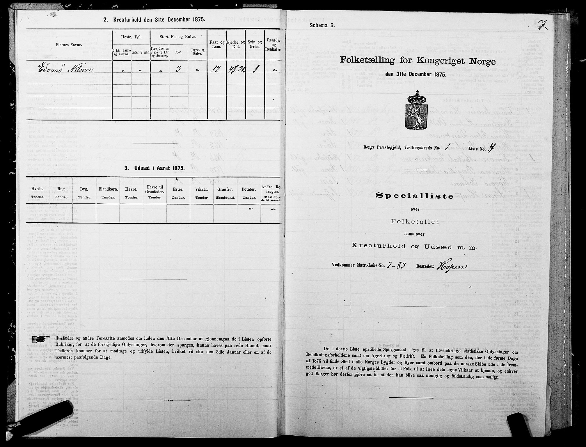 SATØ, 1875 census for 1929P Berg, 1875, p. 1007