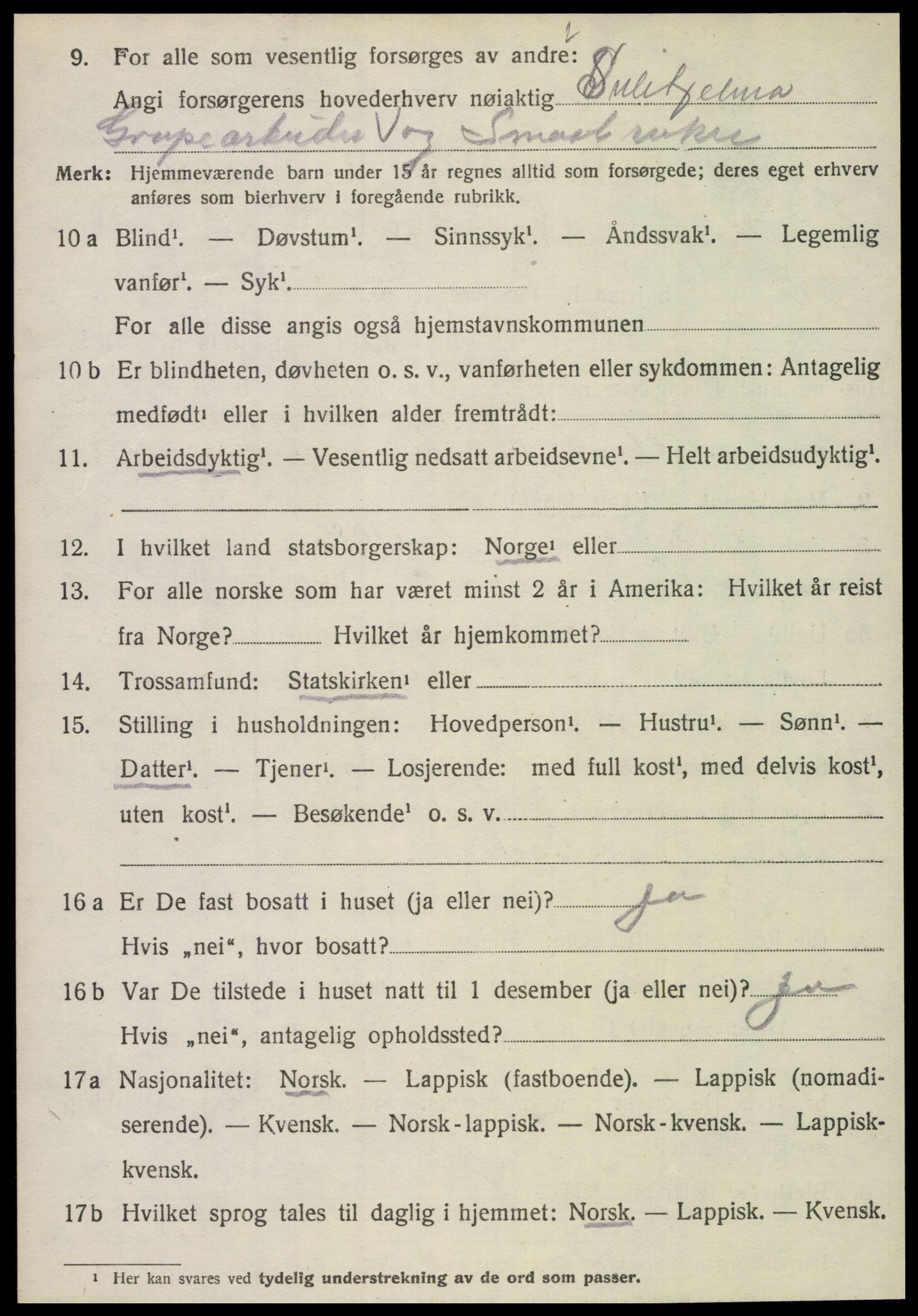 SAT, 1920 census for Fauske, 1920, p. 16995