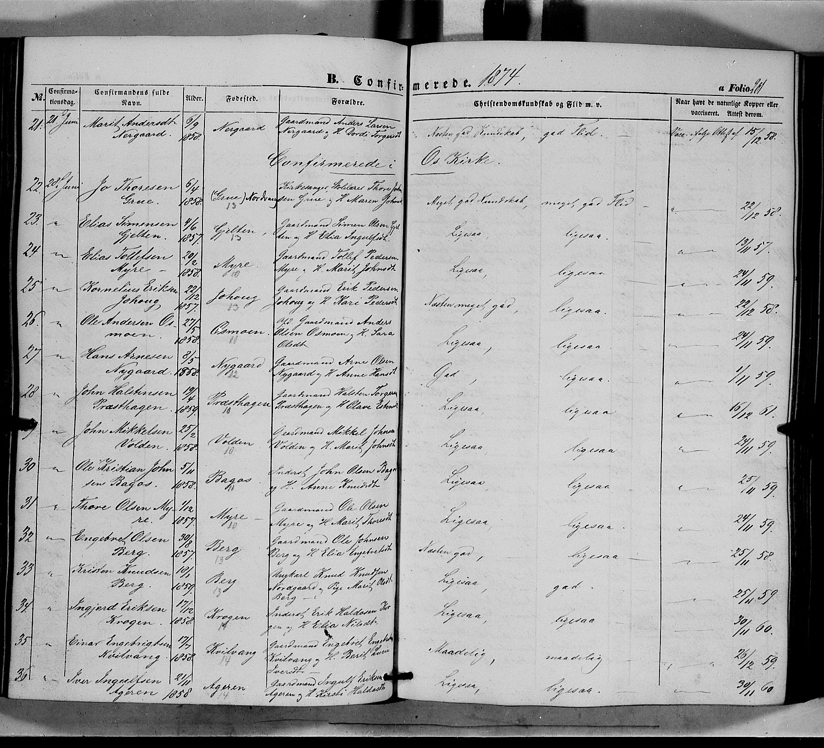 Tolga prestekontor, AV/SAH-PREST-062/K/L0006: Parish register (official) no. 6, 1852-1876, p. 201