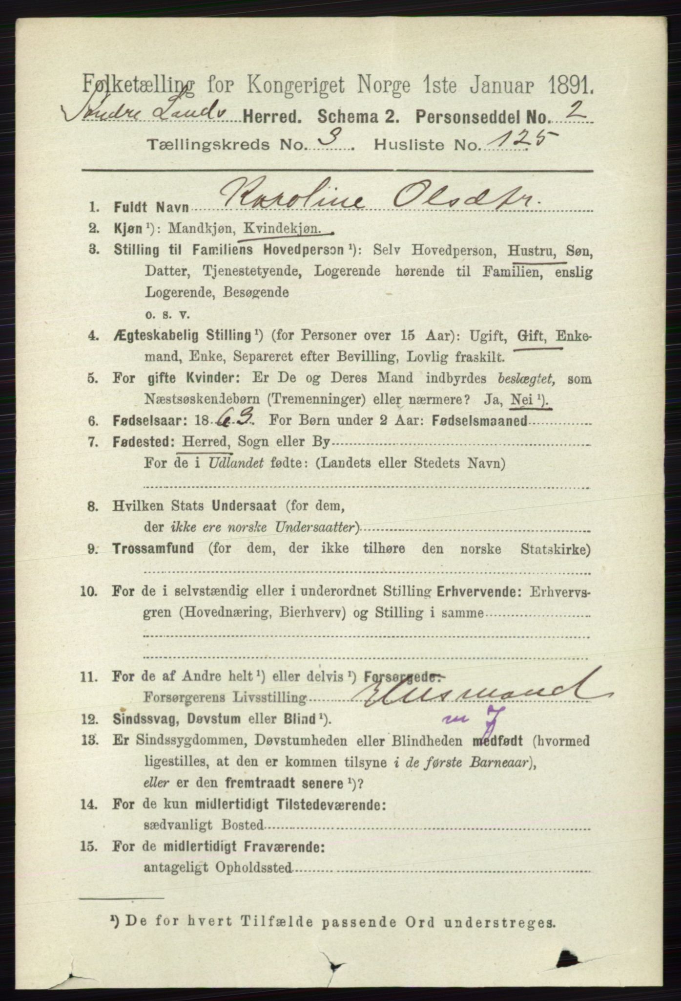 RA, 1891 census for 0536 Søndre Land, 1891, p. 3252