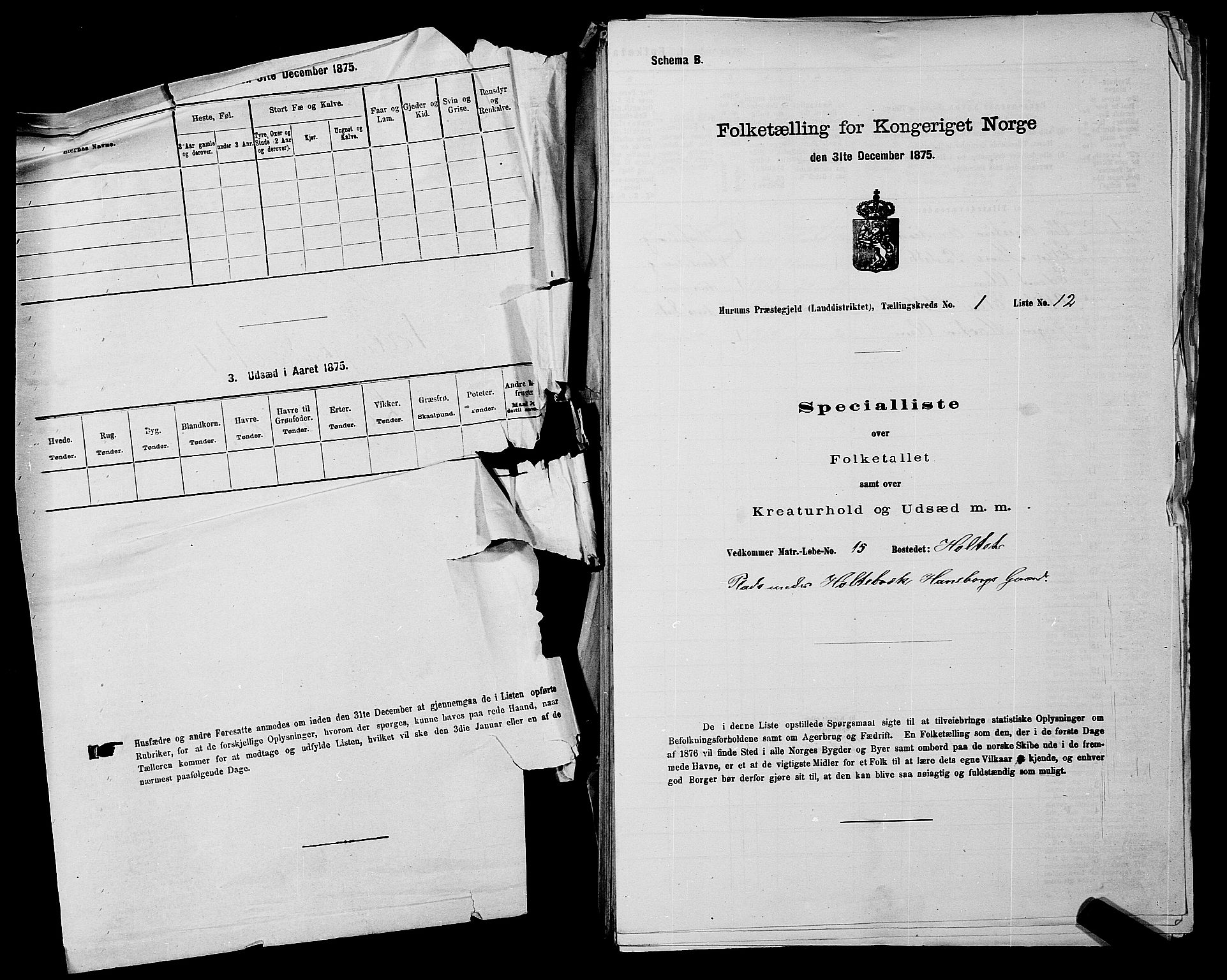 SAKO, 1875 census for 0628L Hurum/Hurum, 1875, p. 33