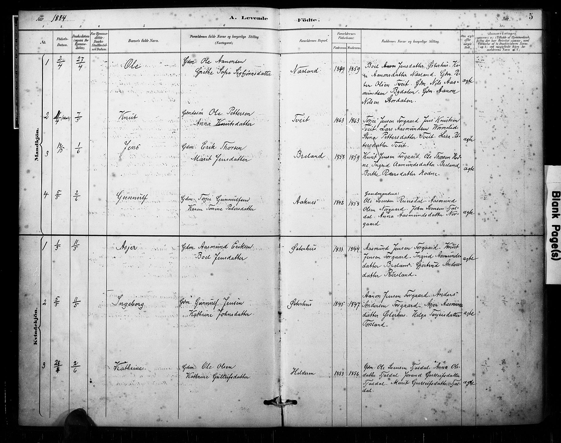 Åseral sokneprestkontor, AV/SAK-1111-0051/F/Fa/L0003: Parish register (official) no. A 3, 1884-1901, p. 5