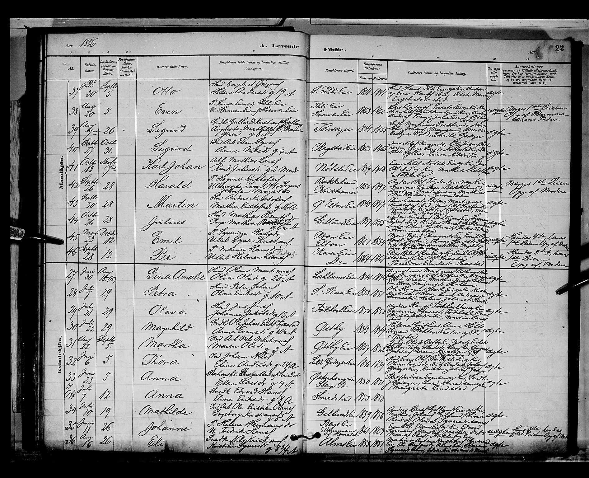 Stange prestekontor, AV/SAH-PREST-002/L/L0009: Parish register (copy) no. 9, 1883-1899, p. 22