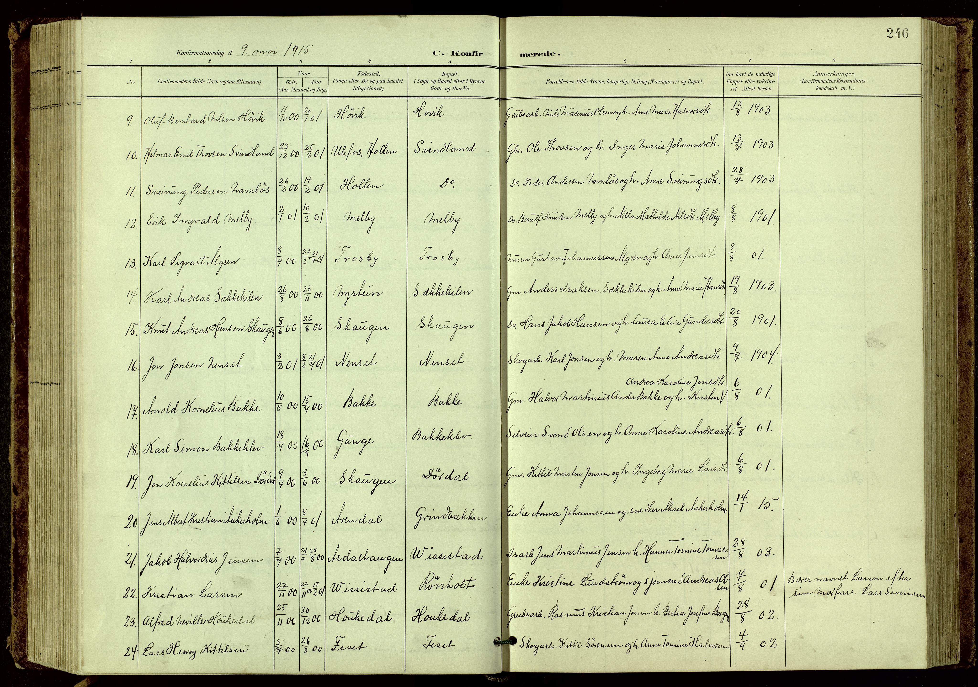 Bamble kirkebøker, SAKO/A-253/G/Ga/L0010: Parish register (copy) no. I 10, 1901-1919, p. 246