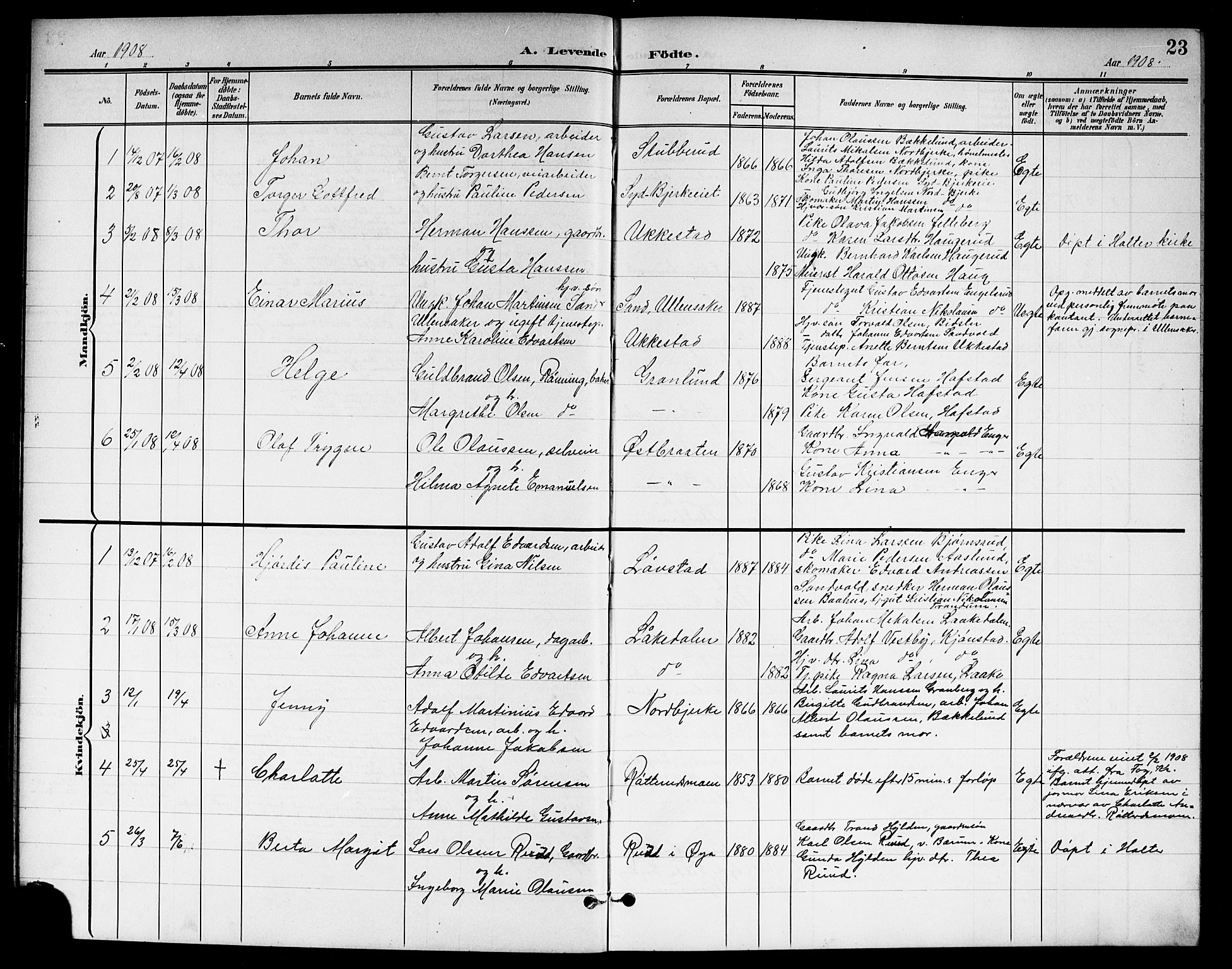 Nannestad prestekontor Kirkebøker, SAO/A-10414a/G/Ga/L0002: Parish register (copy) no. I 2, 1901-1913, p. 23