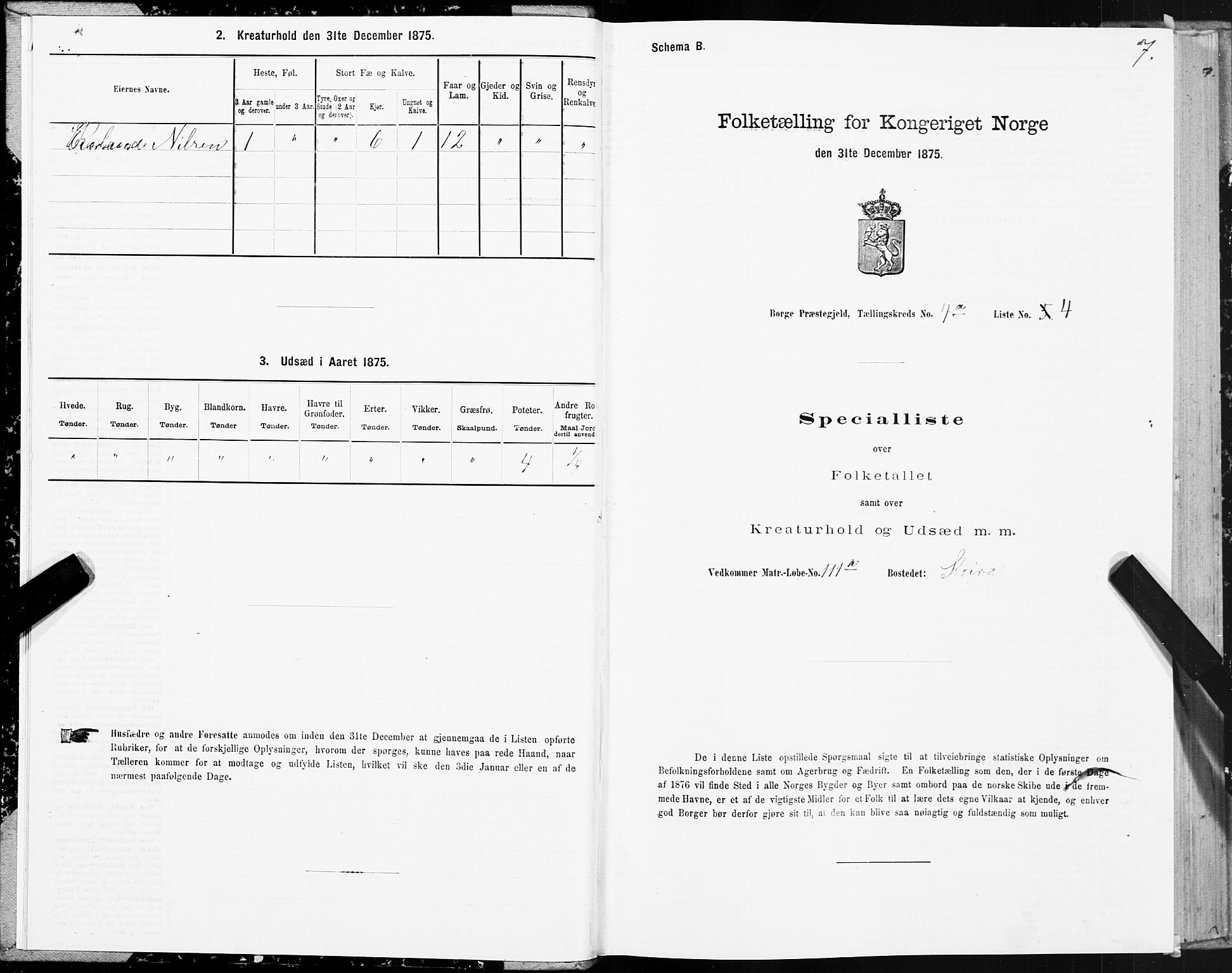 SAT, 1875 census for 1862P Borge, 1875, p. 3007