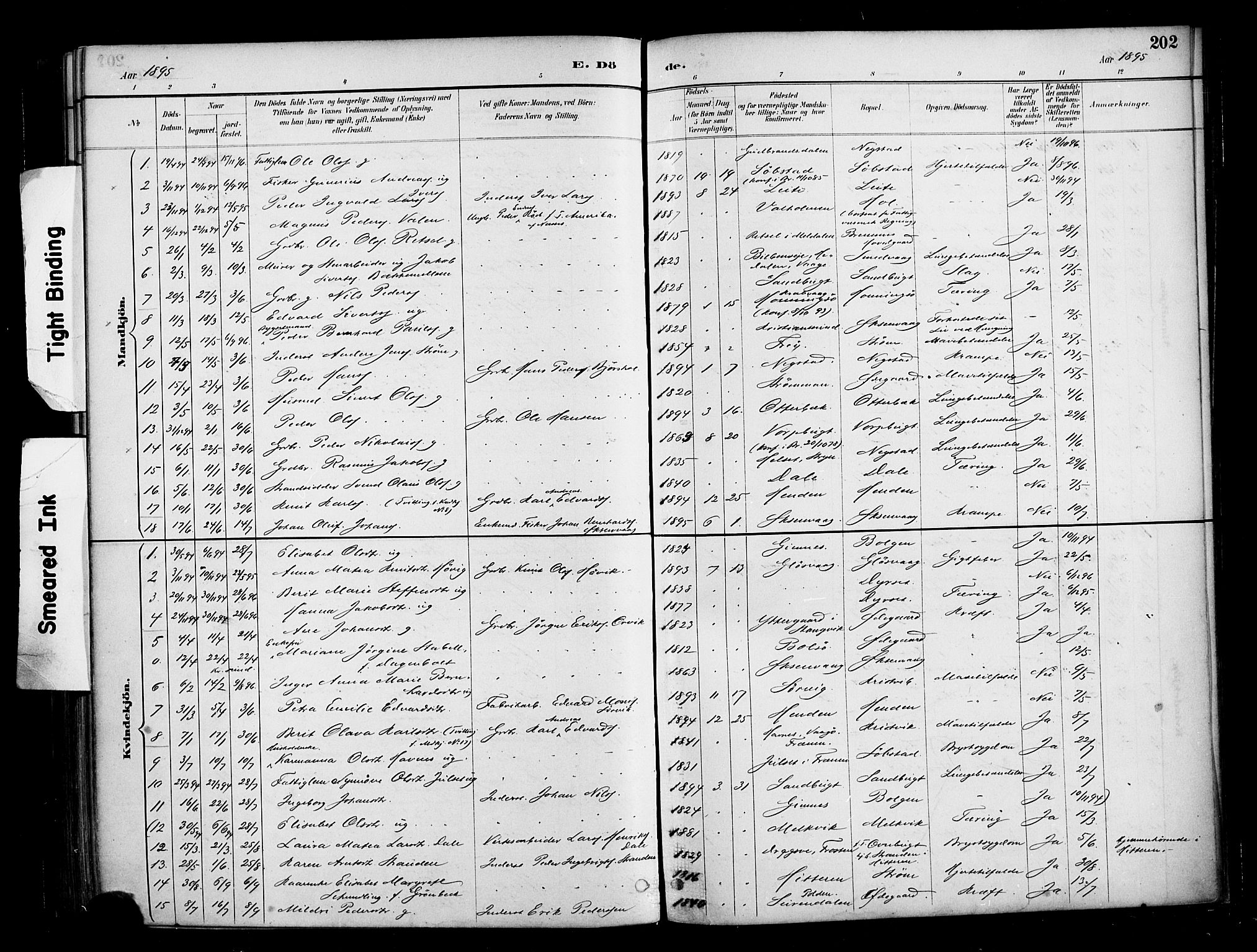 Ministerialprotokoller, klokkerbøker og fødselsregistre - Møre og Romsdal, SAT/A-1454/569/L0819: Parish register (official) no. 569A05, 1885-1899, p. 202