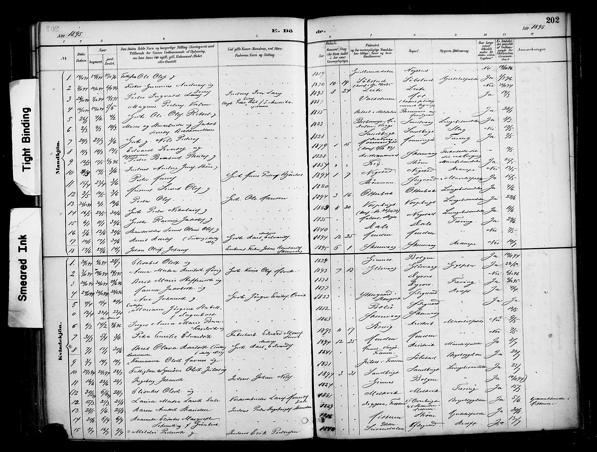 Ministerialprotokoller, klokkerbøker og fødselsregistre - Møre og Romsdal, AV/SAT-A-1454/569/L0819: Parish register (official) no. 569A05, 1885-1899, p. 202