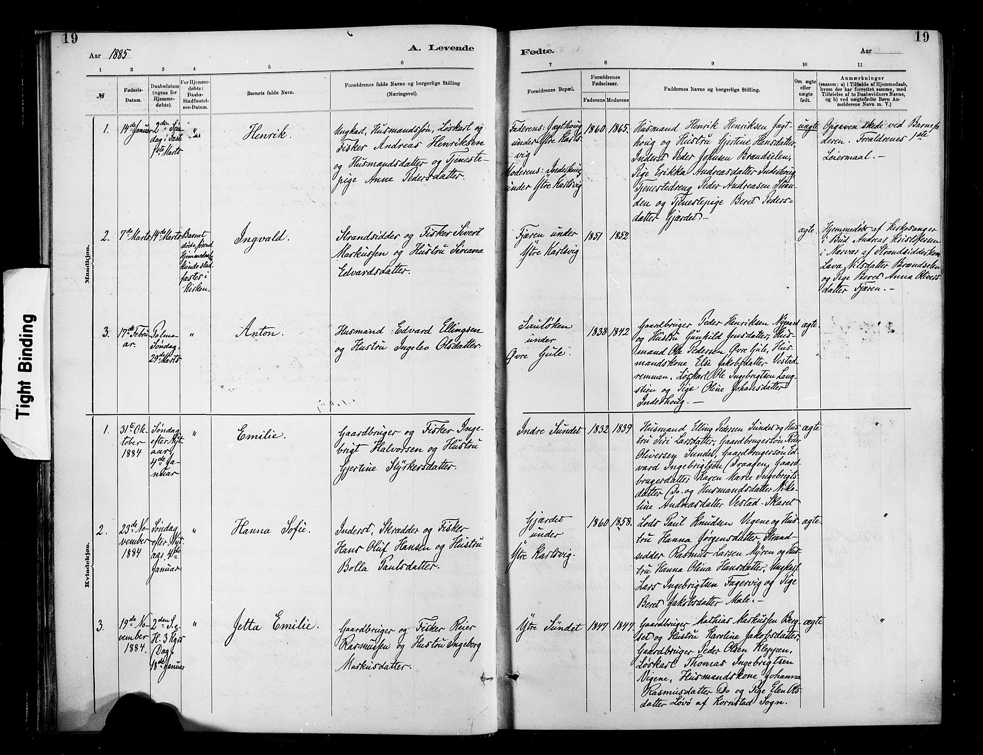 Ministerialprotokoller, klokkerbøker og fødselsregistre - Møre og Romsdal, SAT/A-1454/566/L0769: Parish register (official) no. 566A08, 1881-1903, p. 19