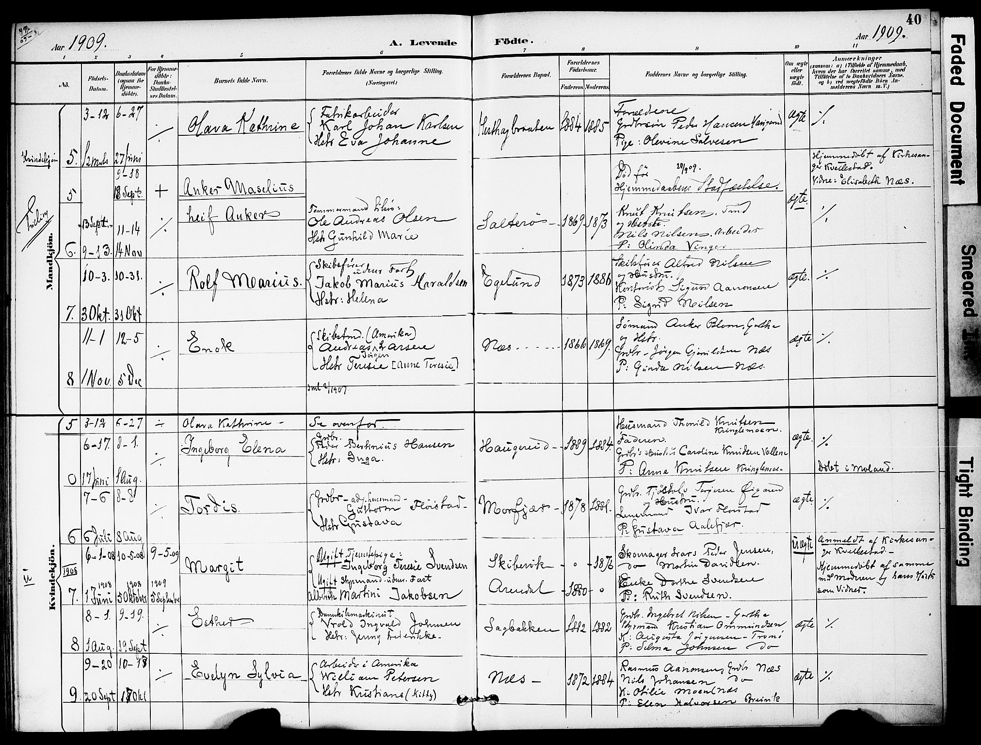 Austre Moland sokneprestkontor, AV/SAK-1111-0001/F/Fa/Fab/L0002: Parish register (official) no. A 2, 1894-1919, p. 40