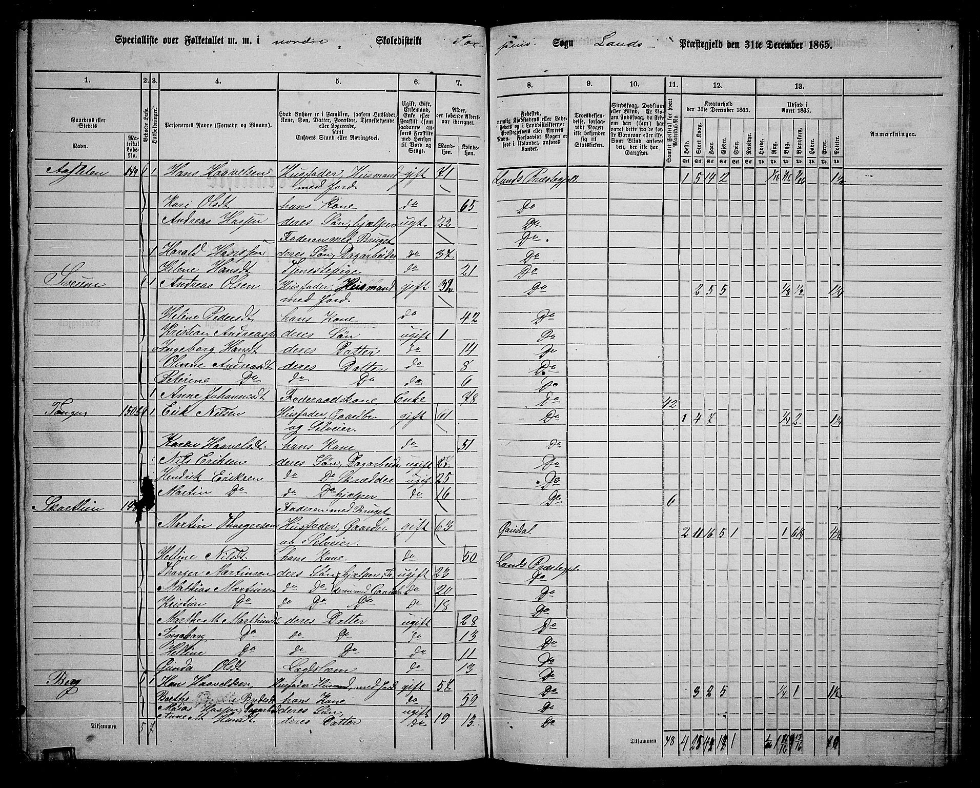 RA, 1865 census for Land, 1865, p. 137