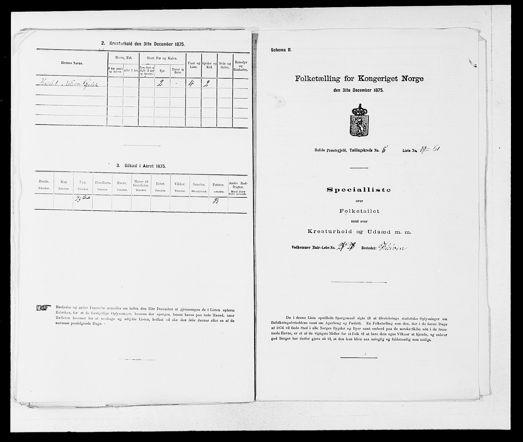 SAB, 1875 census for 1425P Hafslo, 1875, p. 678