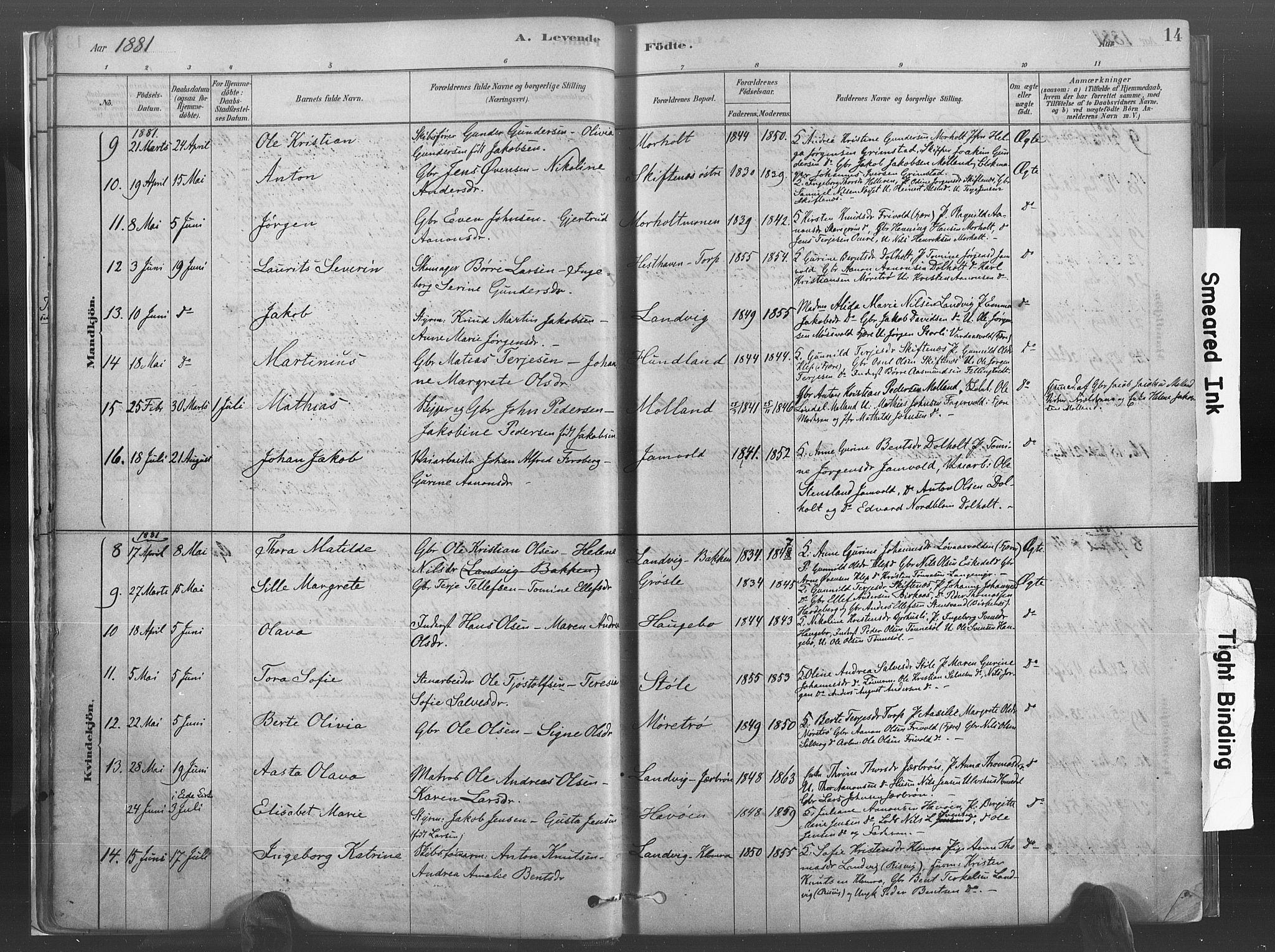 Hommedal sokneprestkontor, AV/SAK-1111-0023/F/Fa/Fab/L0006: Parish register (official) no. A 6, 1878-1897, p. 14