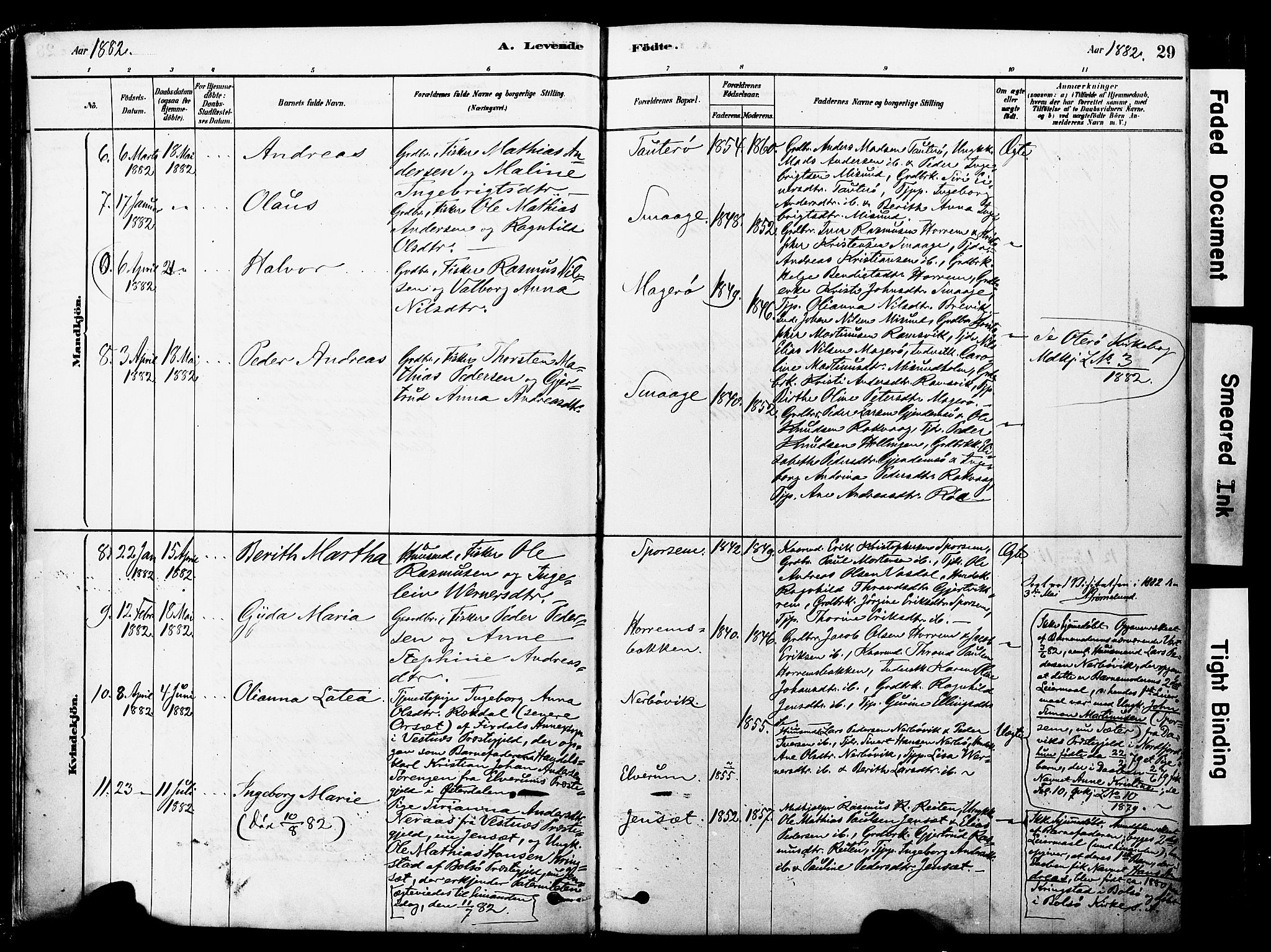 Ministerialprotokoller, klokkerbøker og fødselsregistre - Møre og Romsdal, SAT/A-1454/560/L0721: Parish register (official) no. 560A05, 1878-1917, p. 29