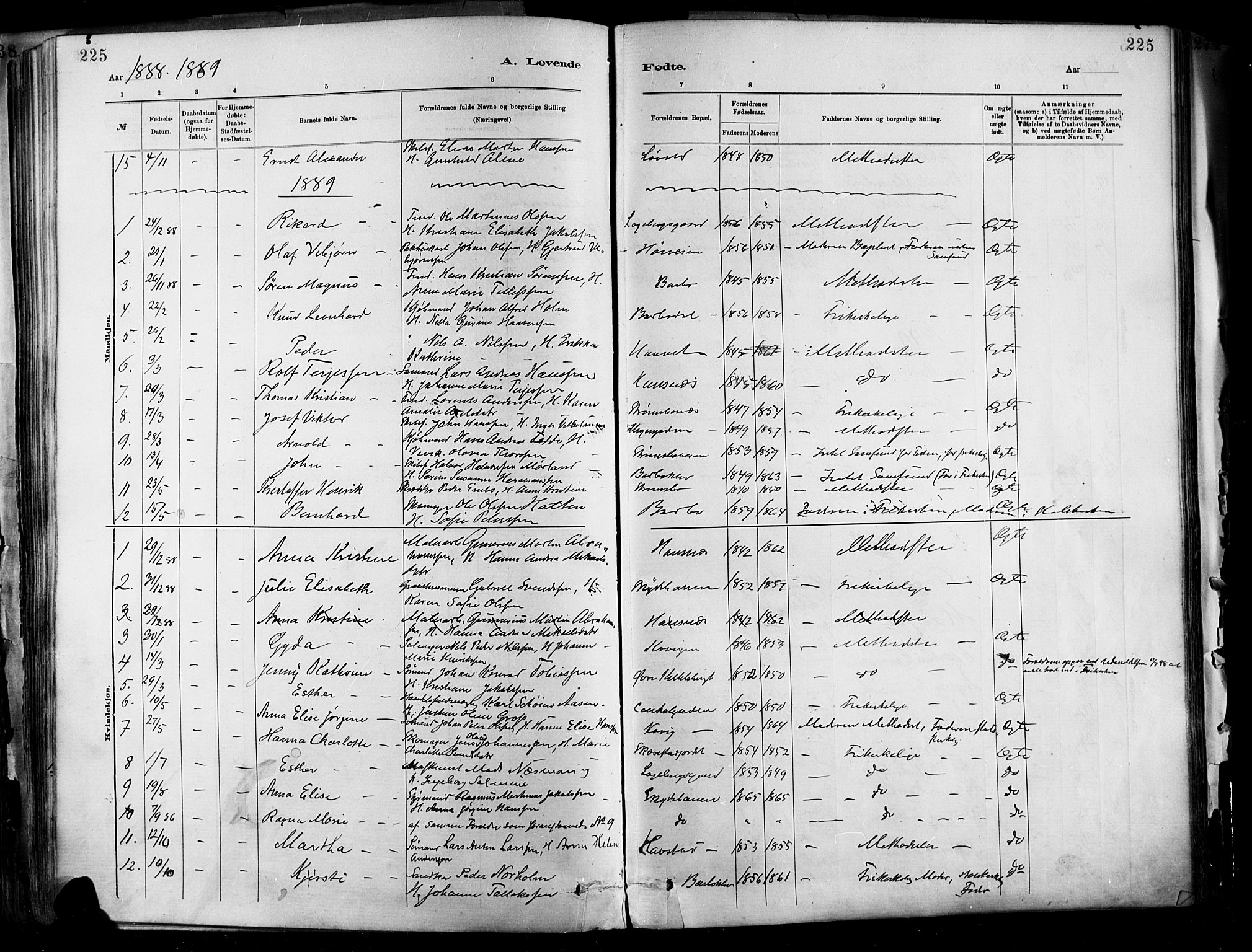 Barbu sokneprestkontor, AV/SAK-1111-0003/F/Fa/L0002: Parish register (official) no. A 2, 1883-1898, p. 225