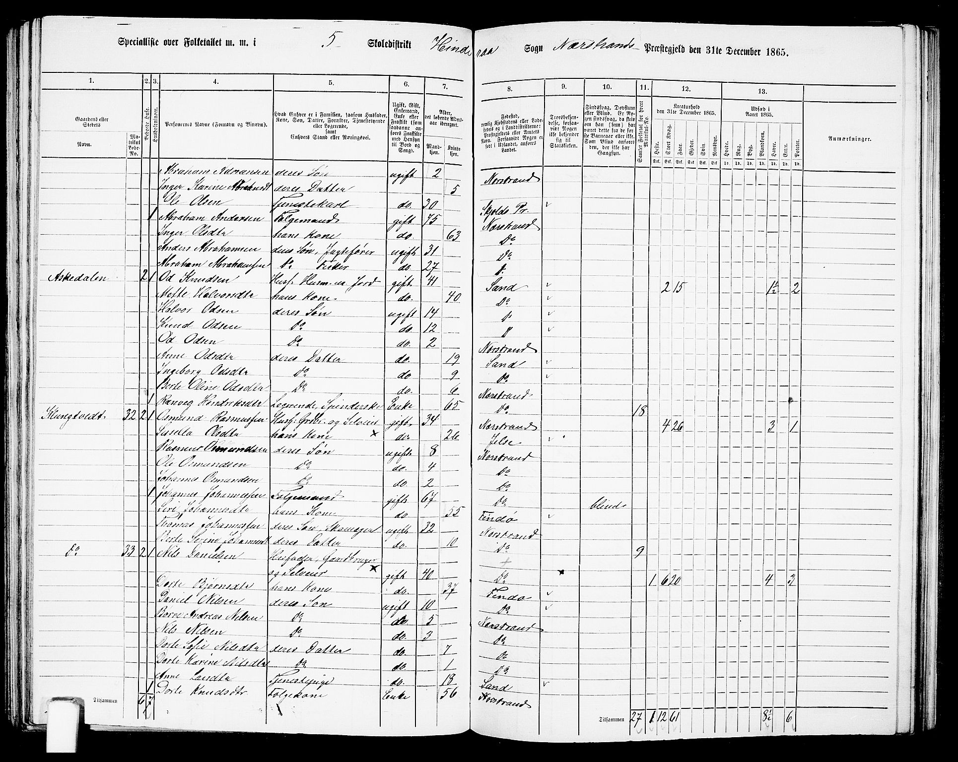 RA, 1865 census for Nedstrand, 1865, p. 72