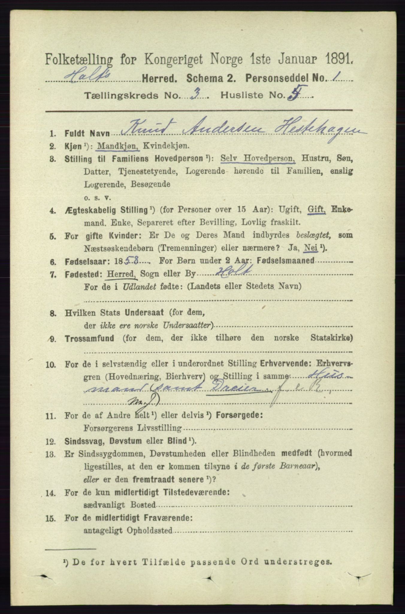 RA, 1891 census for 0914 Holt, 1891, p. 1064