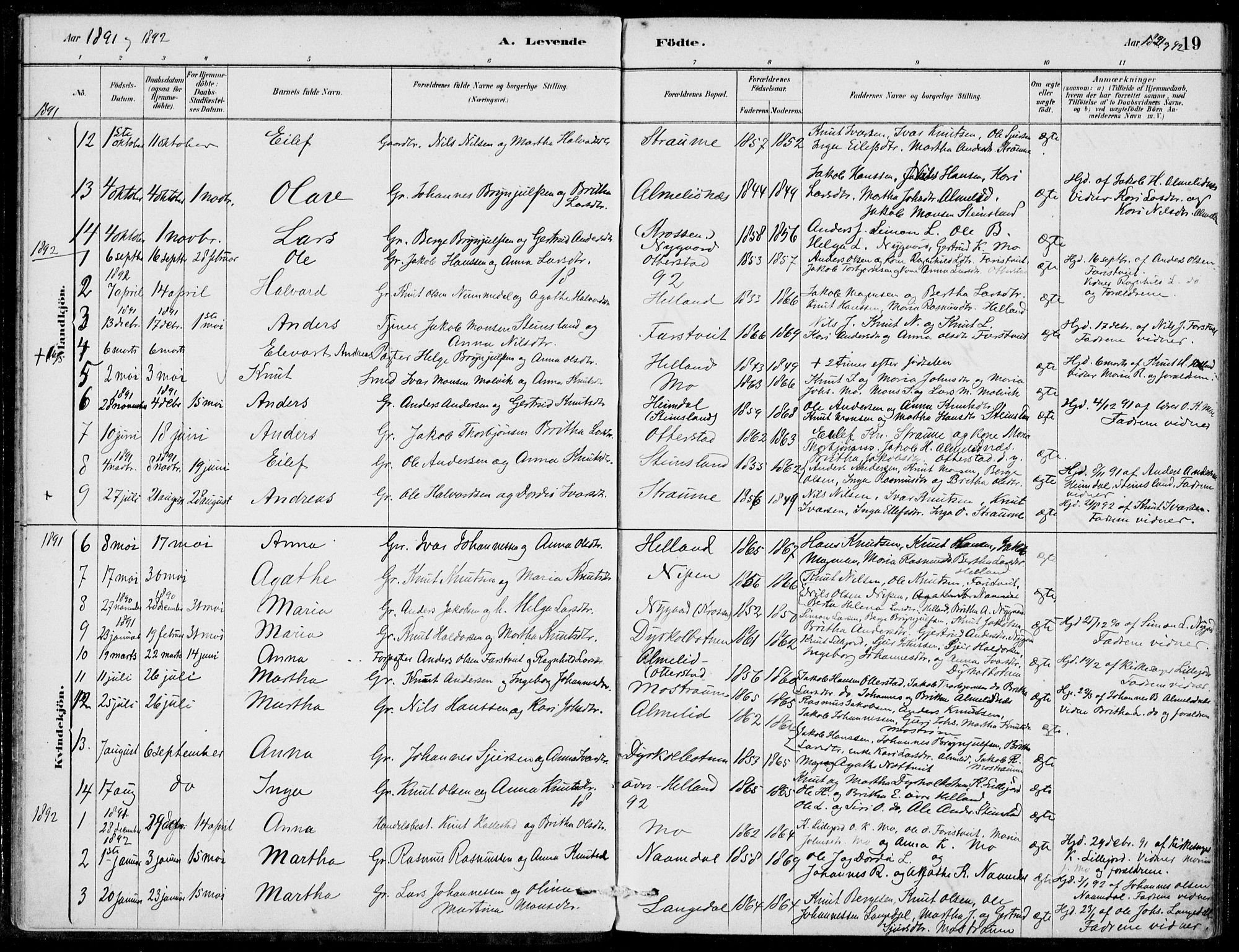 Hosanger sokneprestembete, SAB/A-75801/H/Haa: Parish register (official) no. C  1, 1880-1900, p. 19