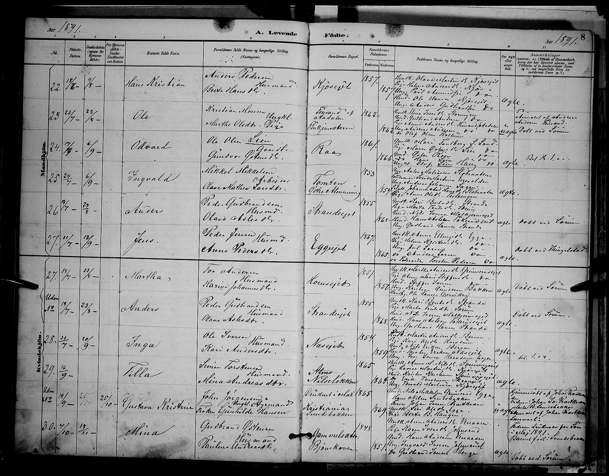 Gran prestekontor, SAH/PREST-112/H/Ha/Hab/L0004: Parish register (copy) no. 4, 1890-1899, p. 8