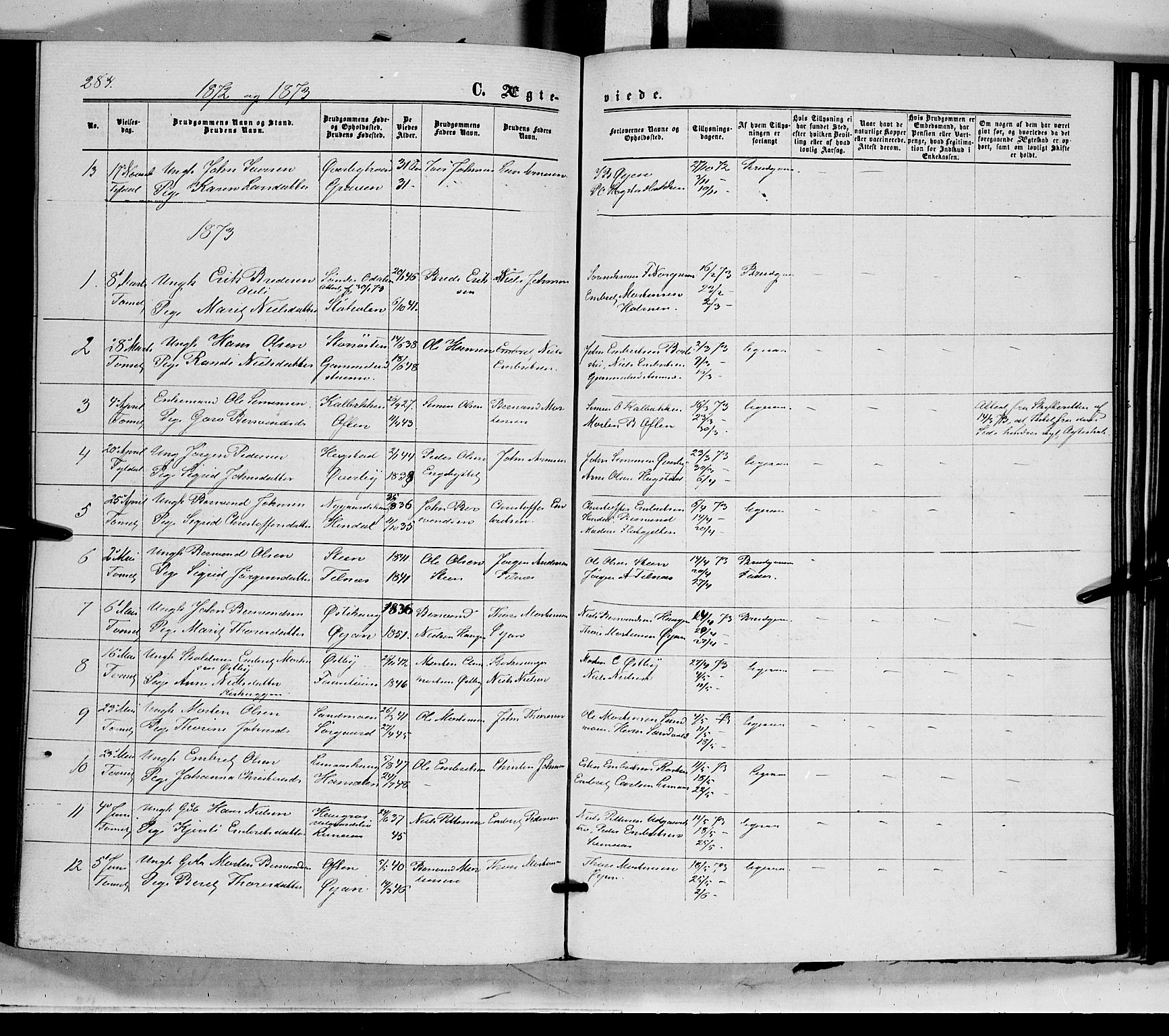 Tynset prestekontor, SAH/PREST-058/H/Ha/Haa/L0021: Parish register (official) no. 21, 1863-1879, p. 284