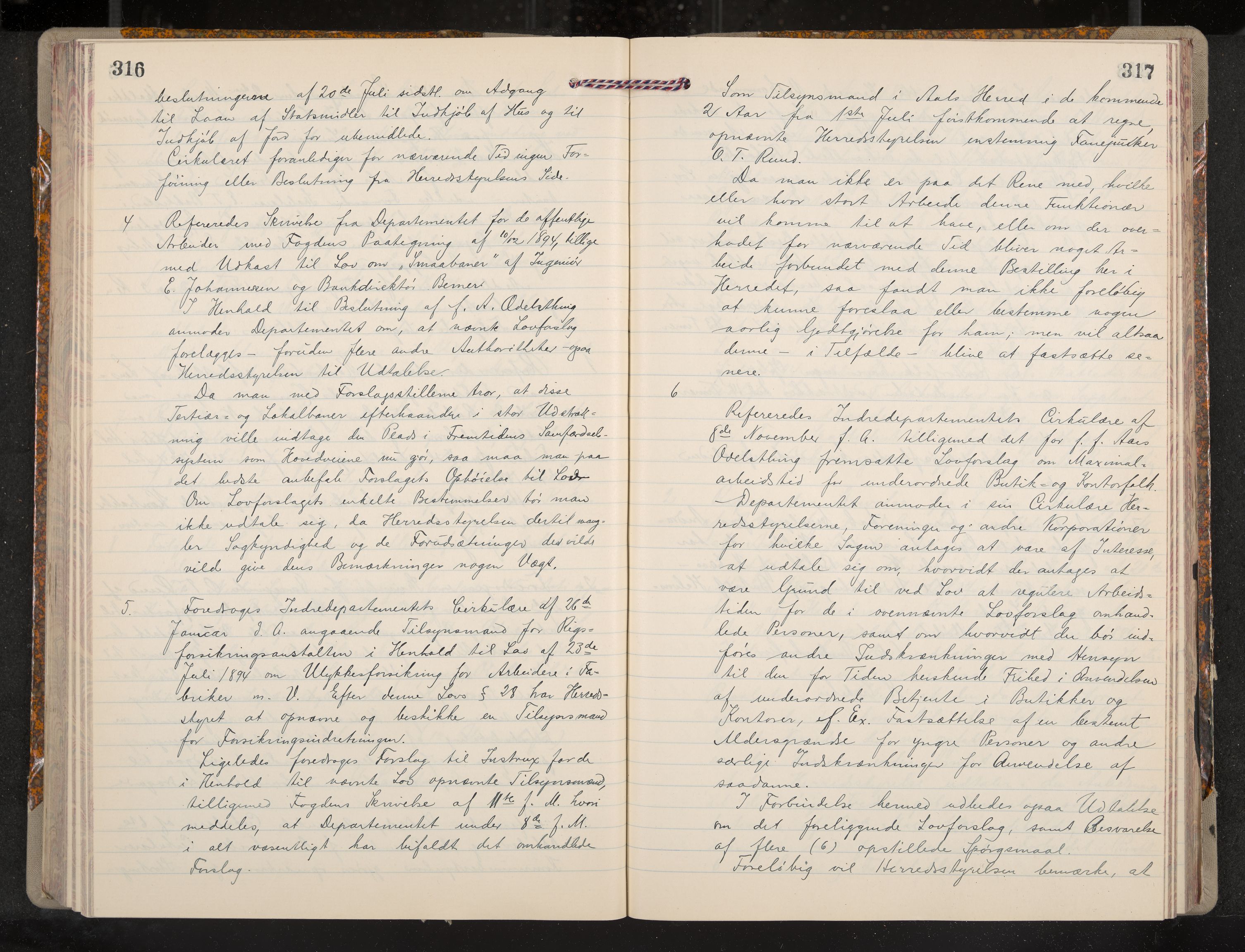 Ål formannskap og sentraladministrasjon, IKAK/0619021/A/Aa/L0004: Utskrift av møtebok, 1881-1901, p. 316-317