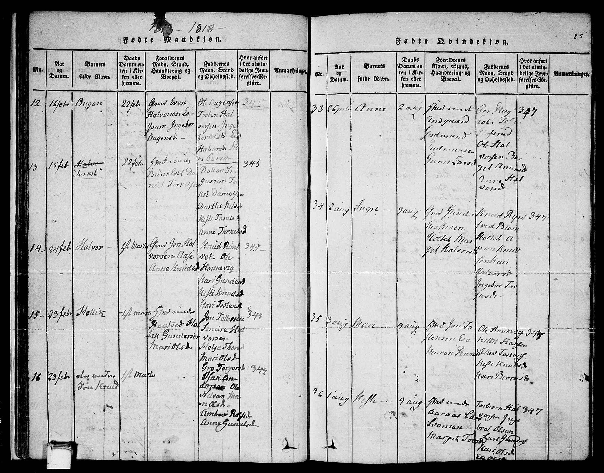 Sauherad kirkebøker, AV/SAKO-A-298/F/Fa/L0005: Parish register (official) no. I 5, 1815-1829, p. 25