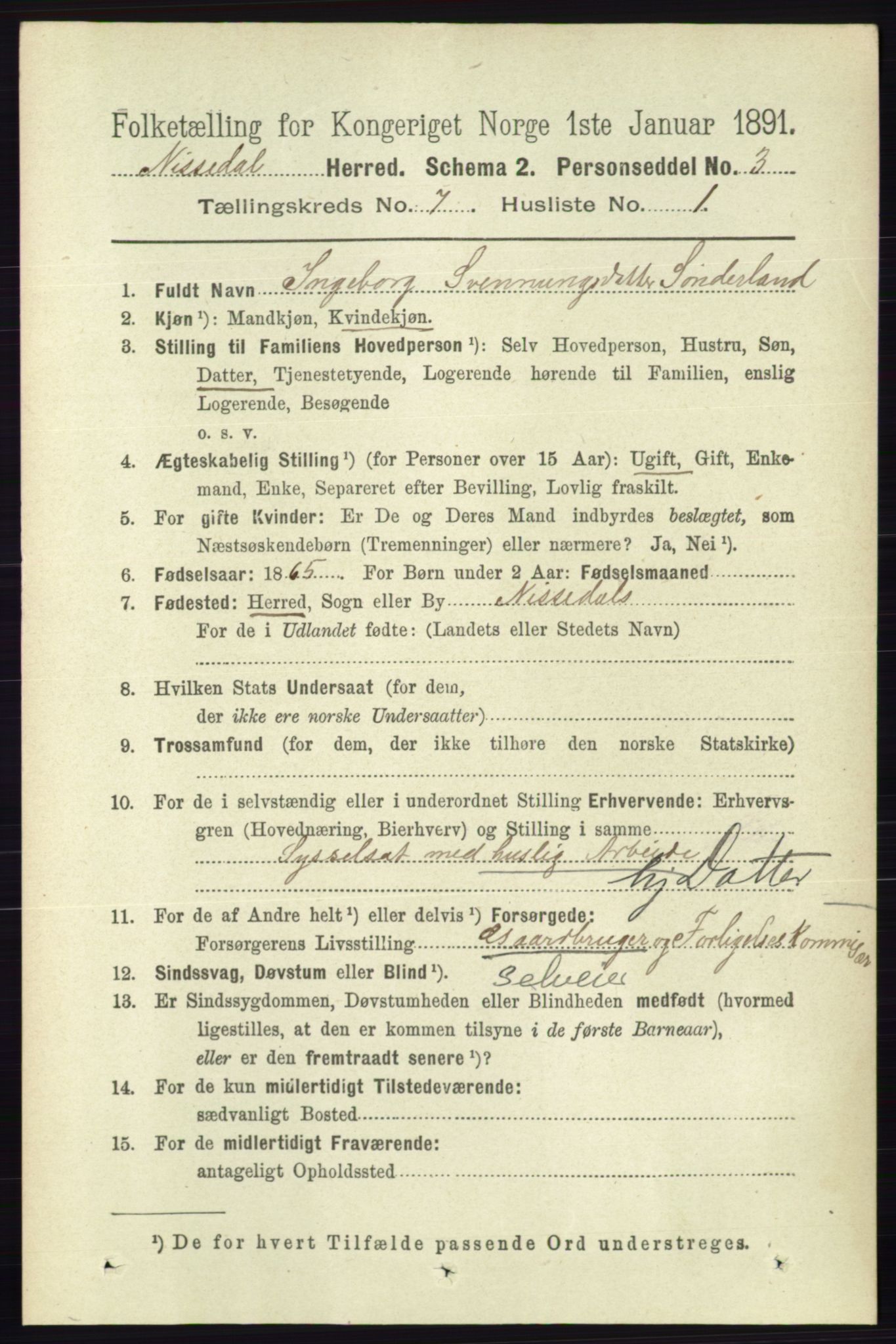 RA, 1891 census for 0830 Nissedal, 1891, p. 1467