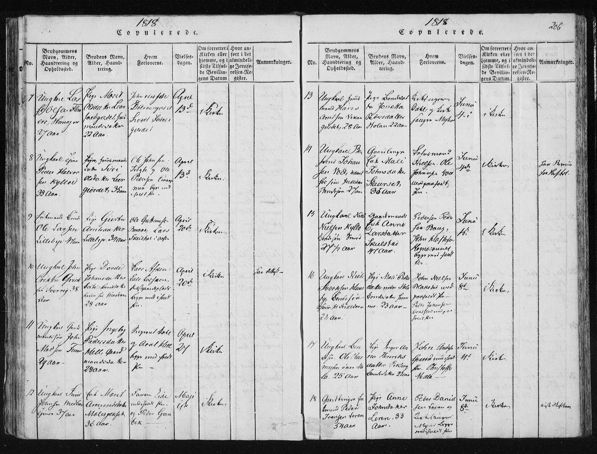 Ministerialprotokoller, klokkerbøker og fødselsregistre - Nord-Trøndelag, SAT/A-1458/709/L0061: Parish register (official) no. 709A08 /1, 1815-1819, p. 206