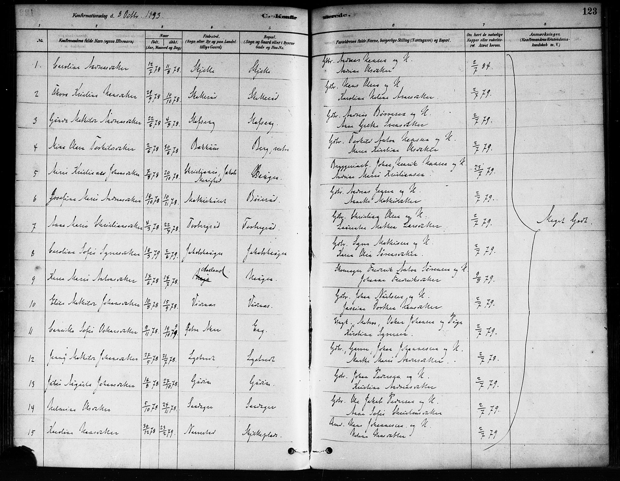 Skiptvet prestekontor Kirkebøker, AV/SAO-A-20009/F/Fa/L0009: Parish register (official) no. 9, 1878-1900, p. 123